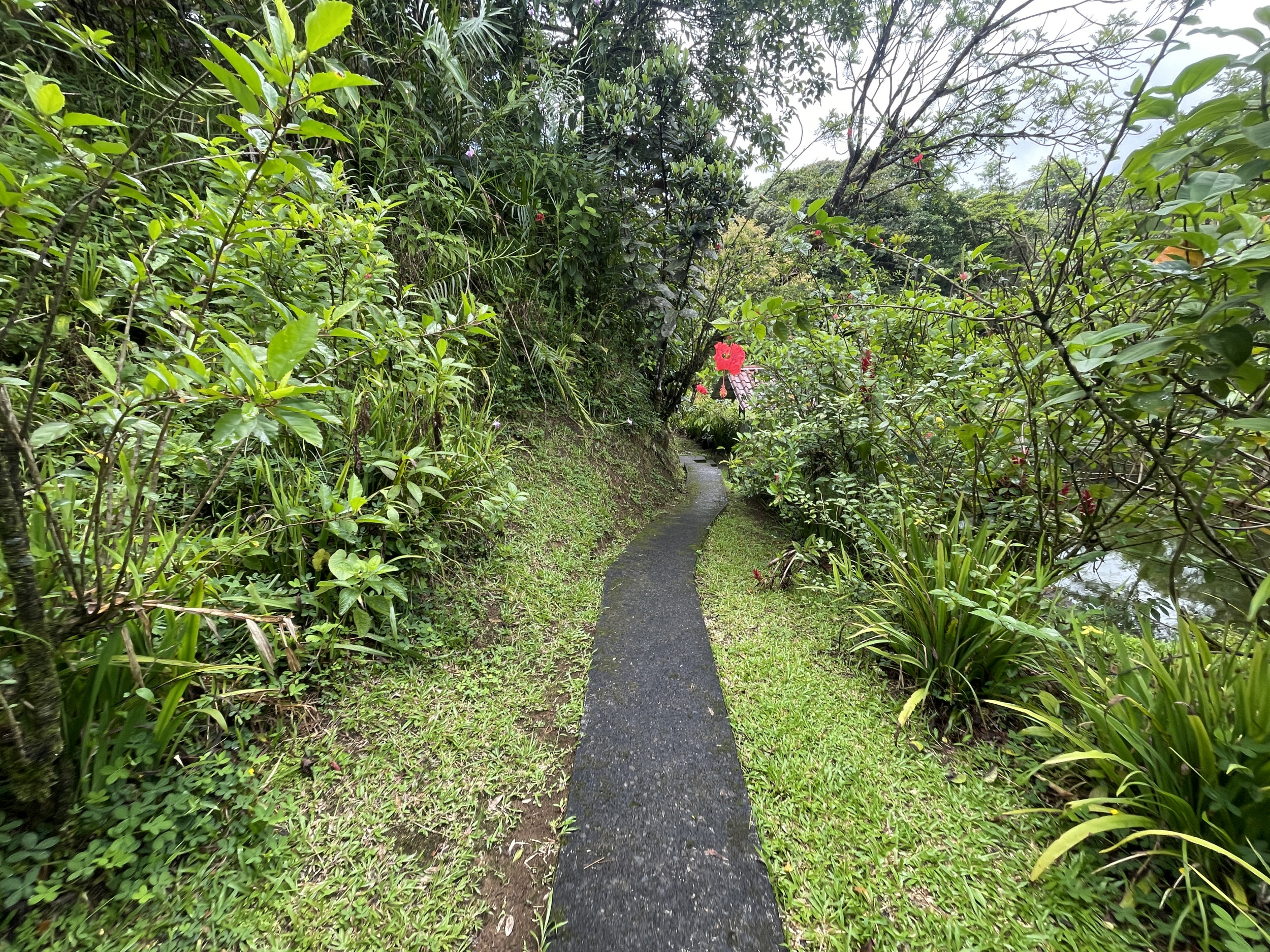 65-Acre Lakeview Property in Nuevo Arenal, Ideal for Family Residential Development
