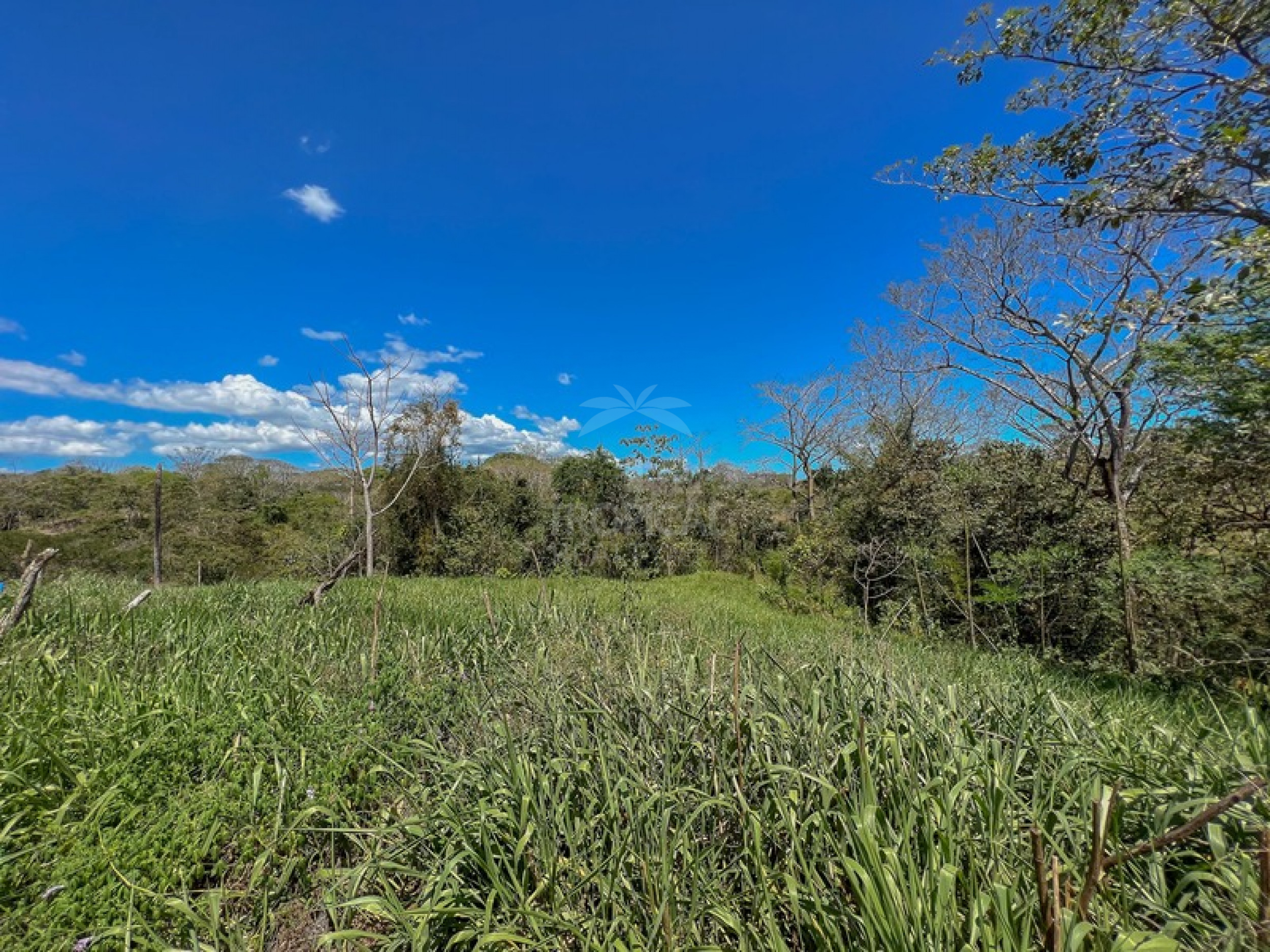 Build-Ready Lot Surrounded by Nature in Santiago – Minutes from Playa Hermosa