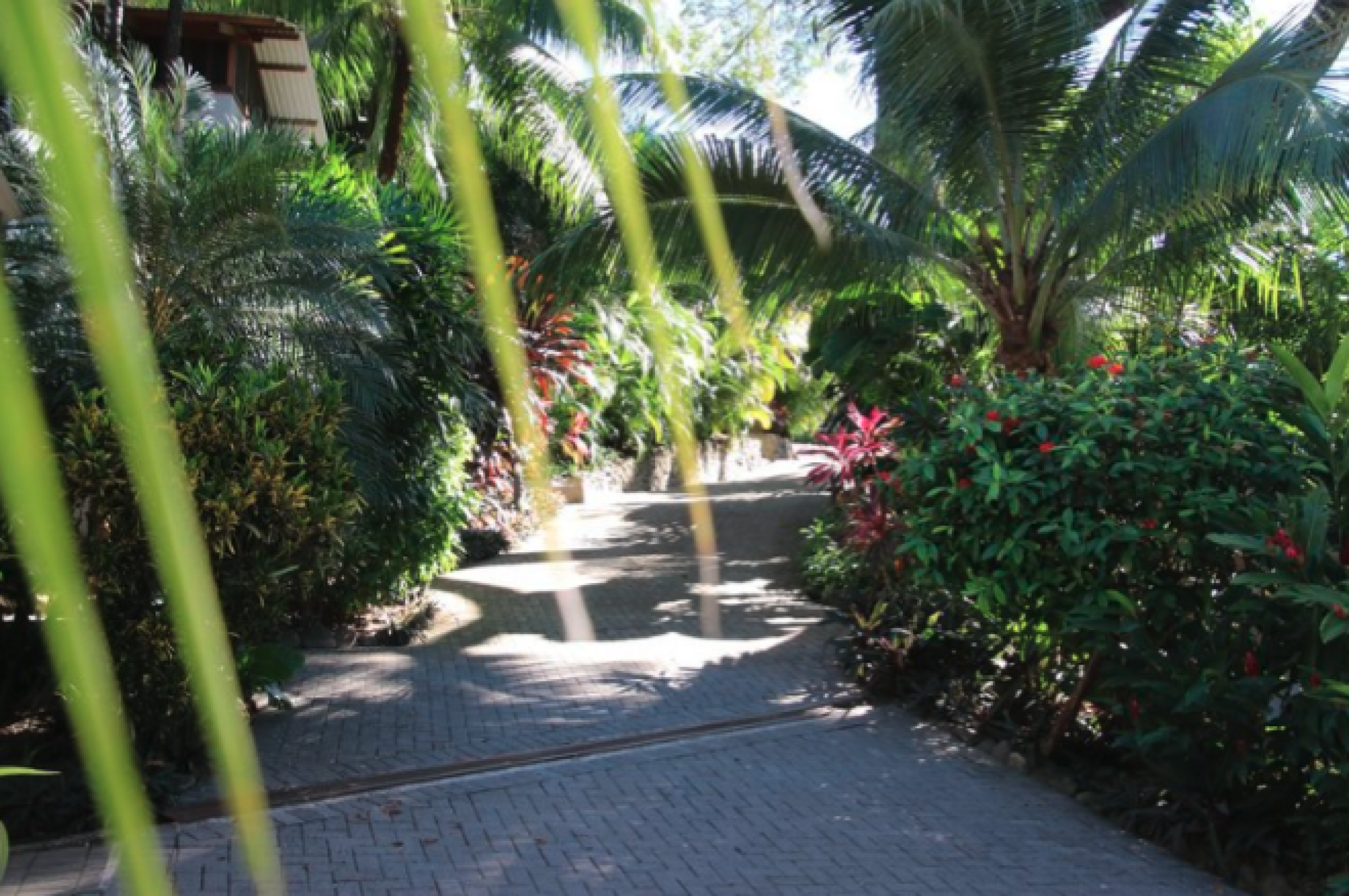 1 hectáreas mas Hotel Boutique en el Corazón de Santa Teresa, Costa Rica