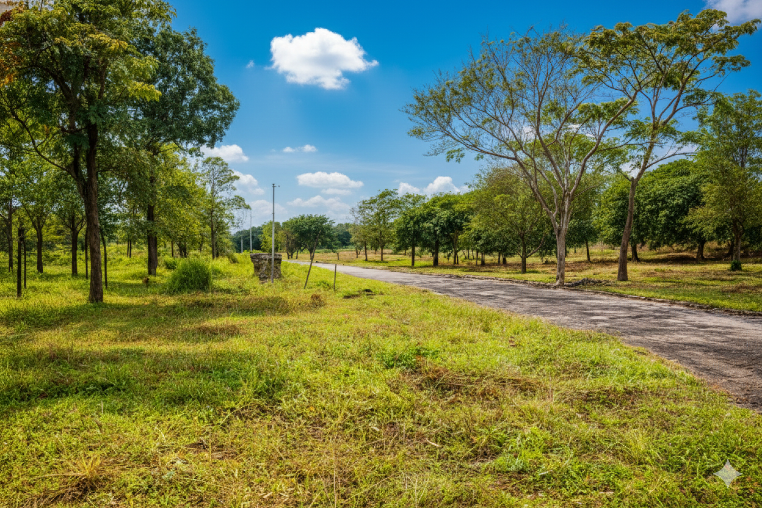 Pre-sale Lots with Private Access to Llanos de Cortés Waterfall SOLD