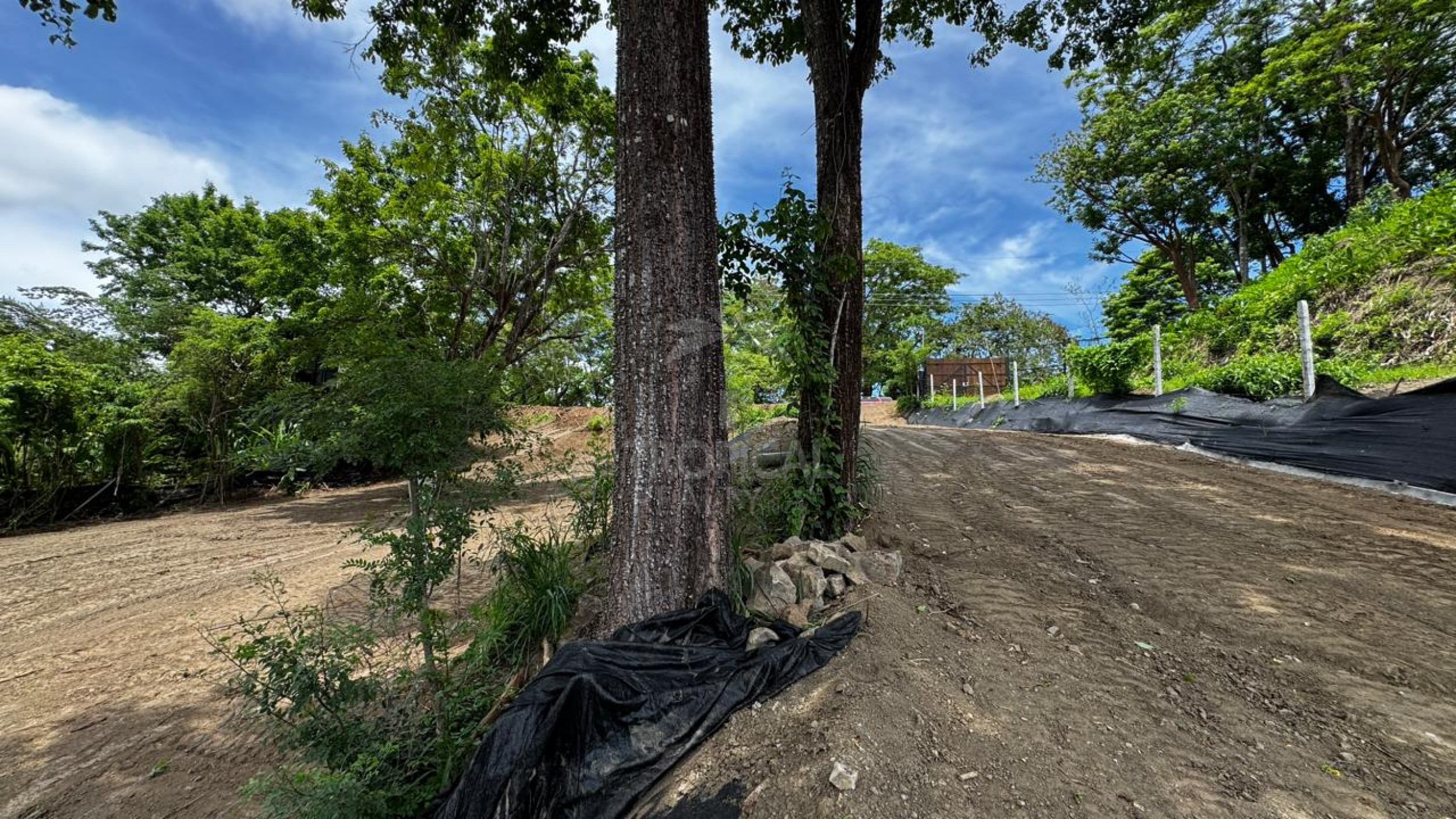Ocean-view lot for sale in Malpais, Santa Teresa