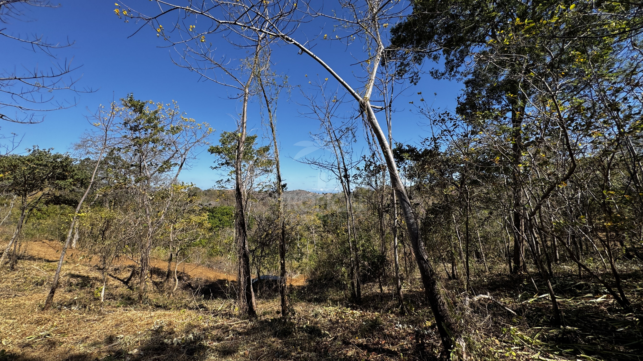Beach land Parcels from 10,000 m² for $65,000 – Premium Property Near Coco and Rio Hotel, close to Papagayo, Guanacaste