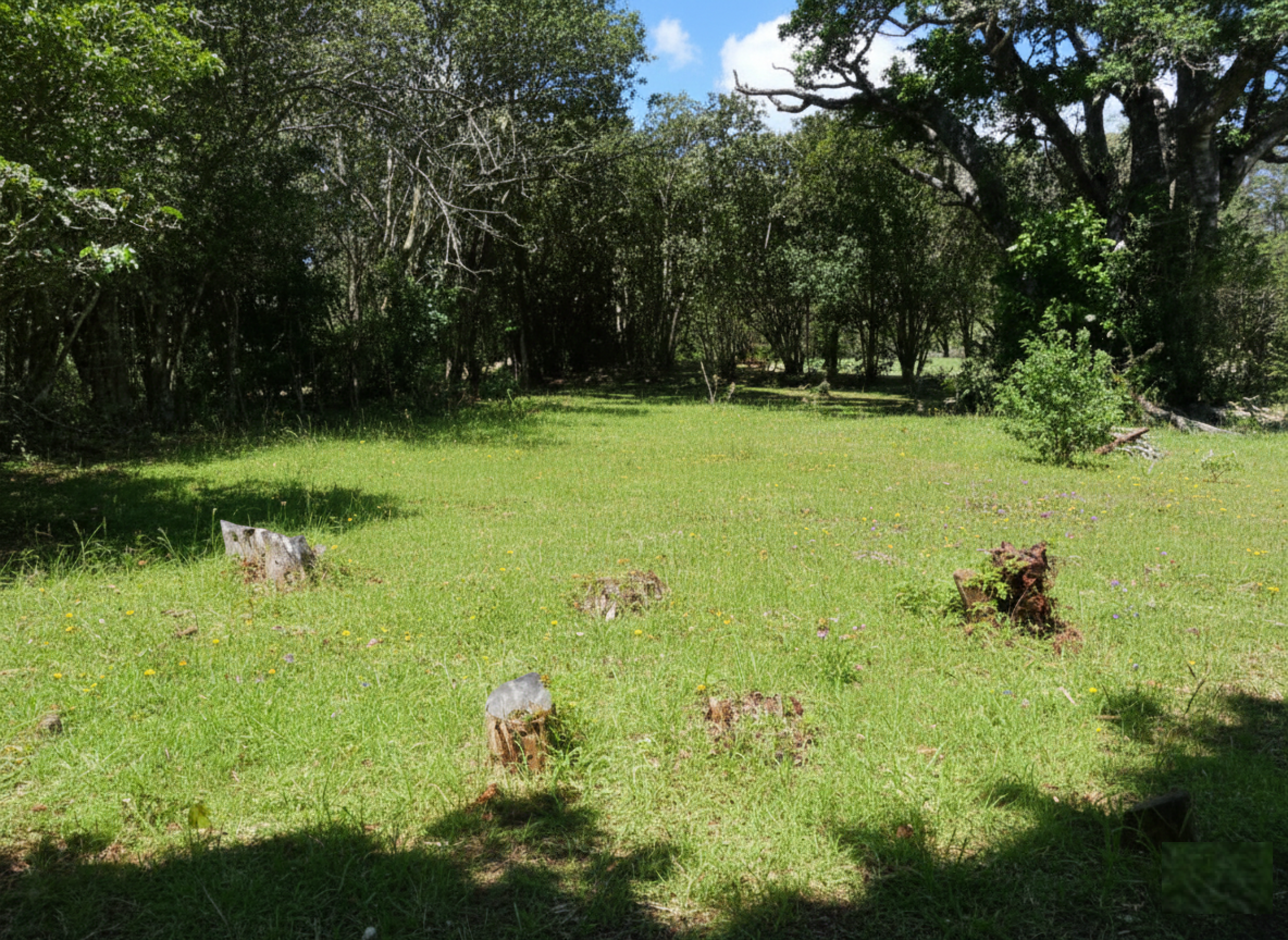 Building Plot in for sale Santa Elena, Monteverde