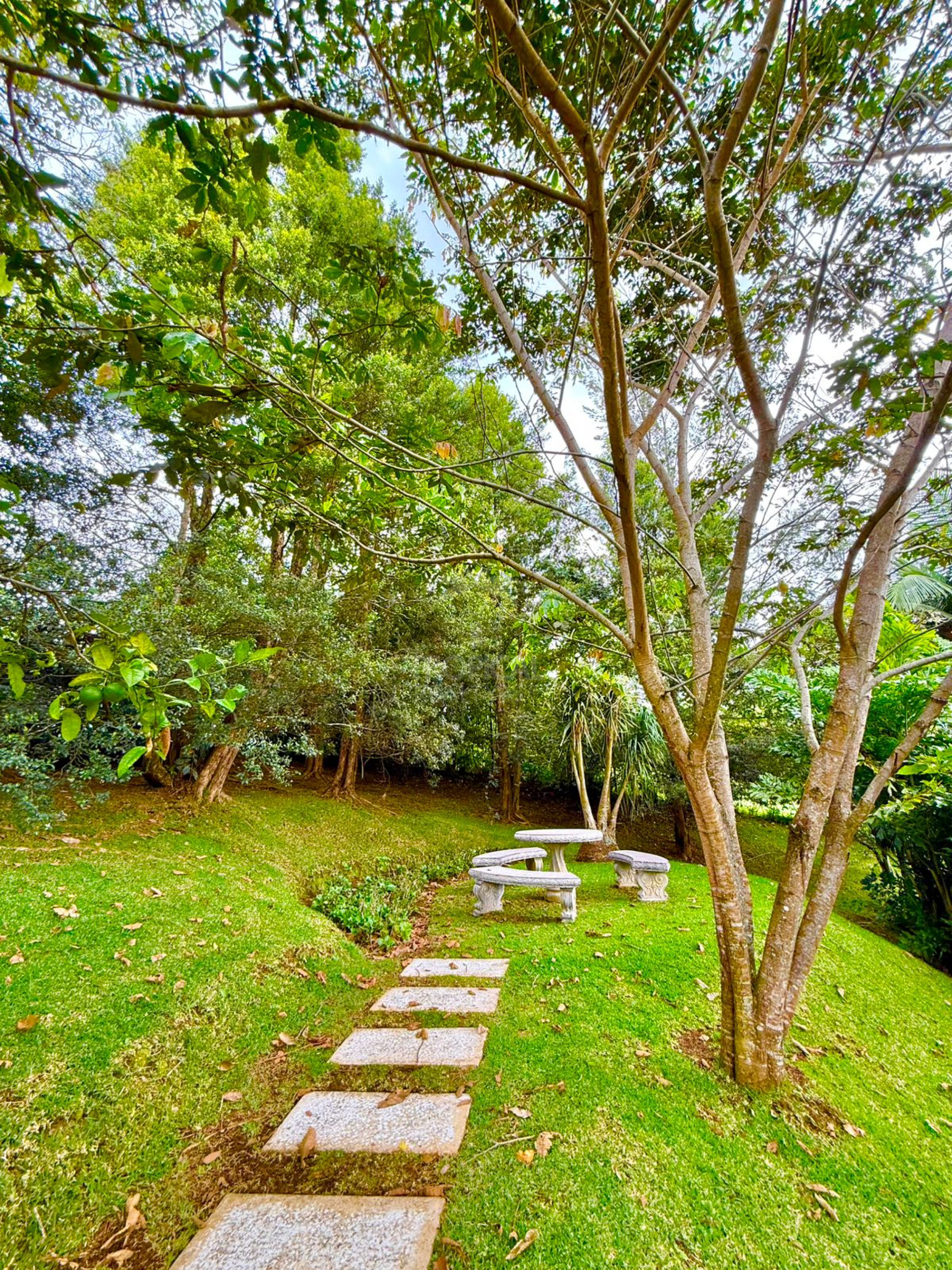Luxury Single-Story Home in Monterán, Curridabat – 4 Bedrooms, Jacuzzi & 2,800 m² Lot
