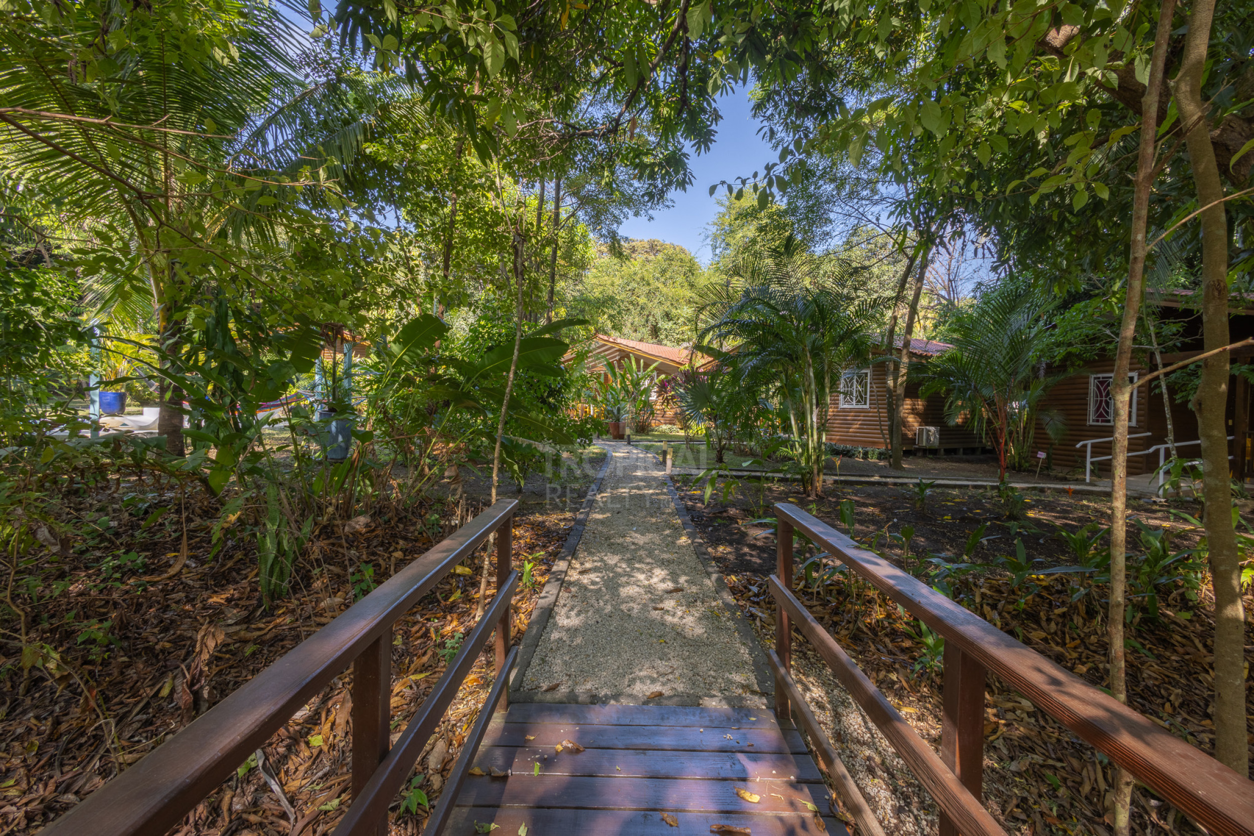 Cabañas en Venta en Montezuma | Inversión Turnkey cerca de Los Cedros