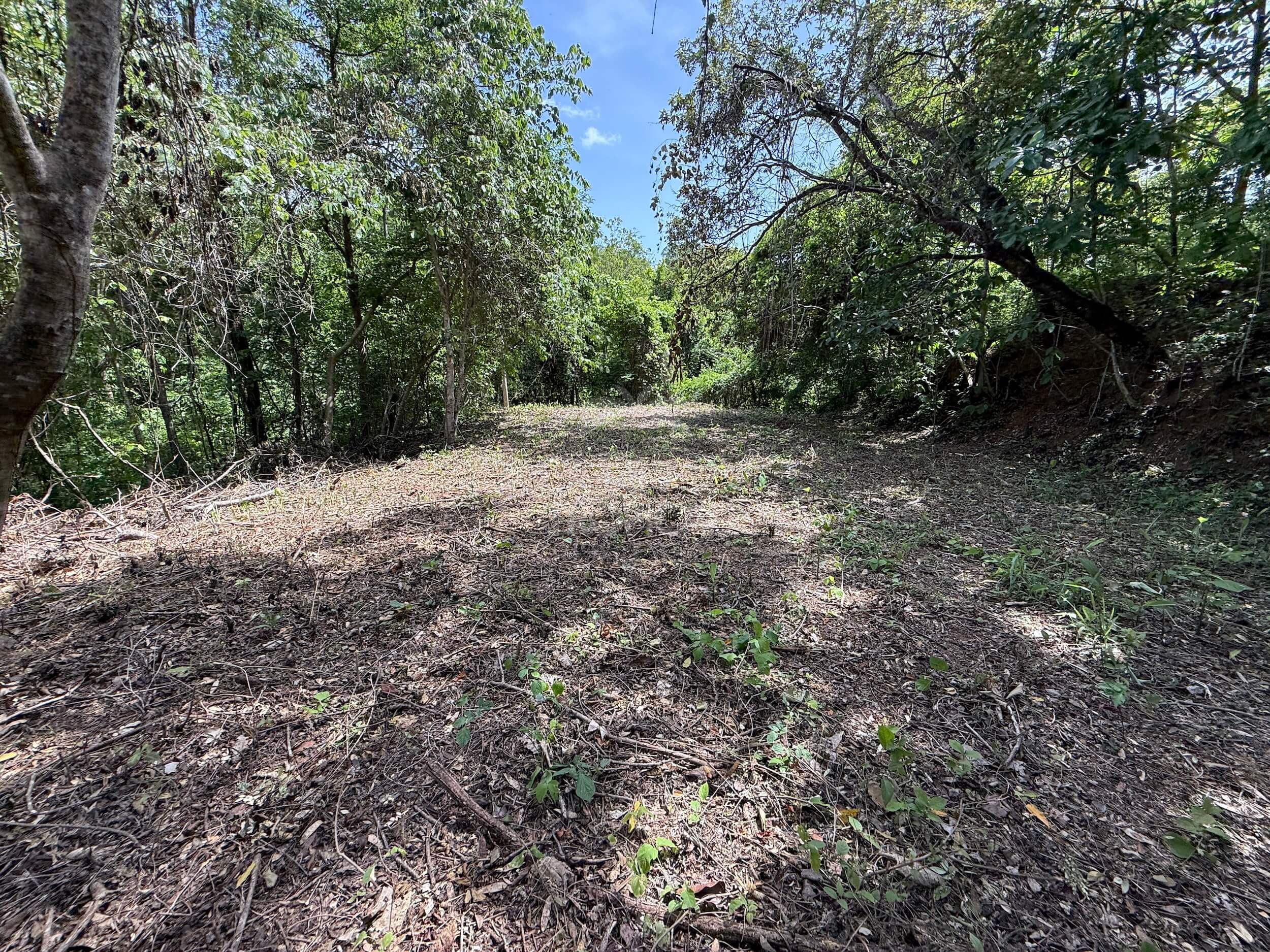 Exclusive 5,376 m² Macro-Lot: Your Private Nature Sanctuary in Lomas Del Mar, Guanacaste
