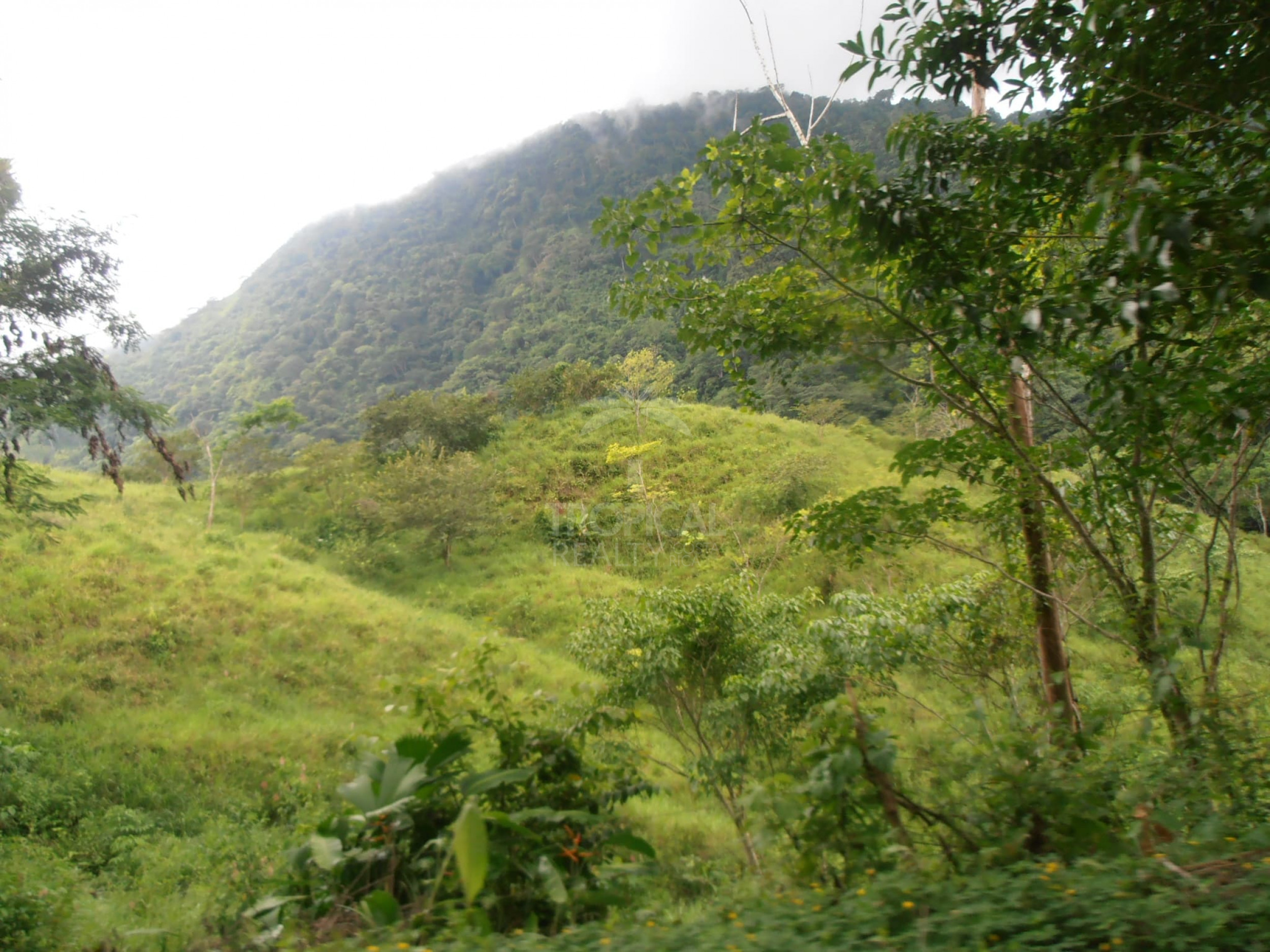 210-Hectare Farm for Sale in Tulín, Puriscal | 519 acres