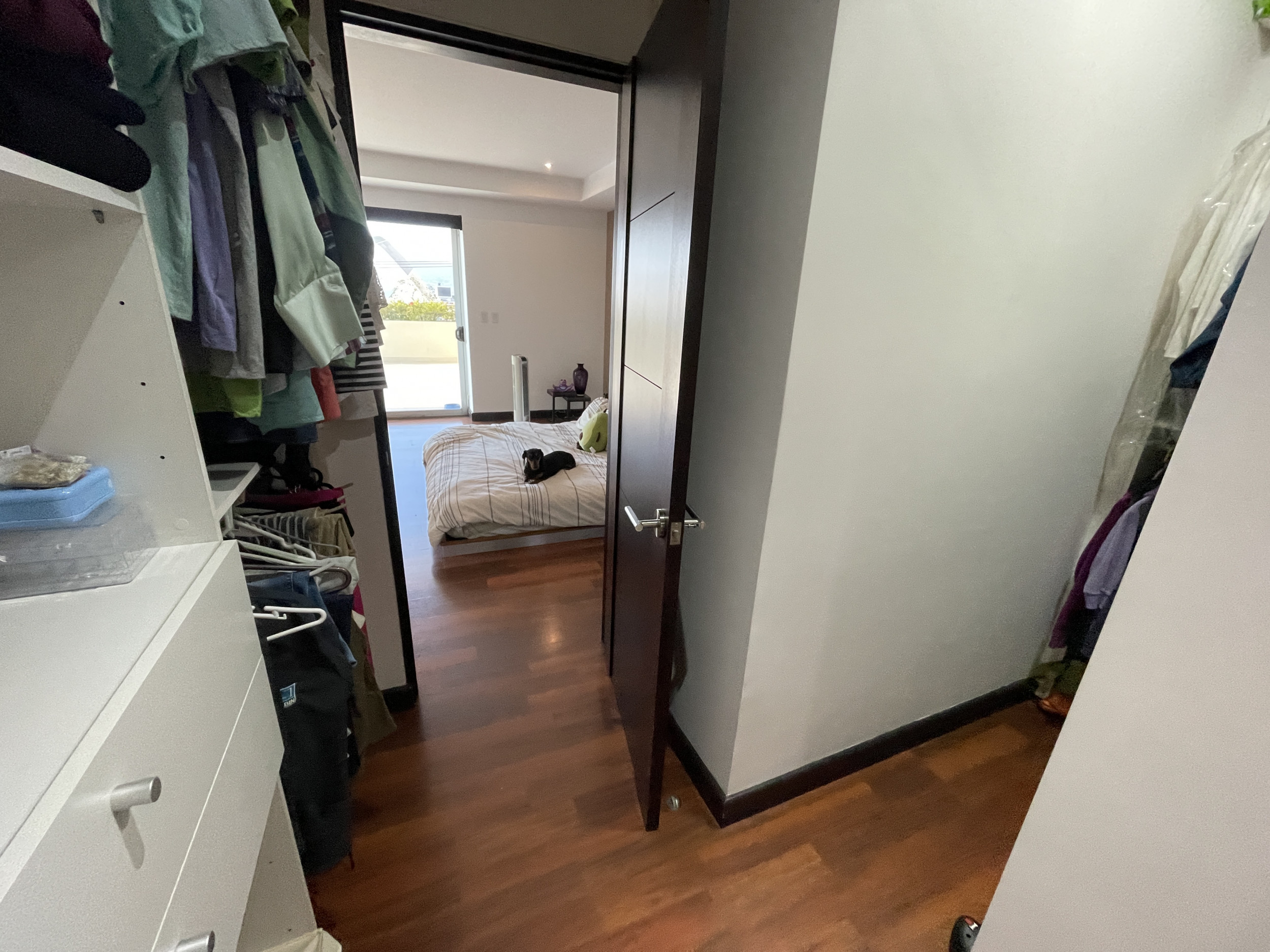 Apartment for sale Sabana Real