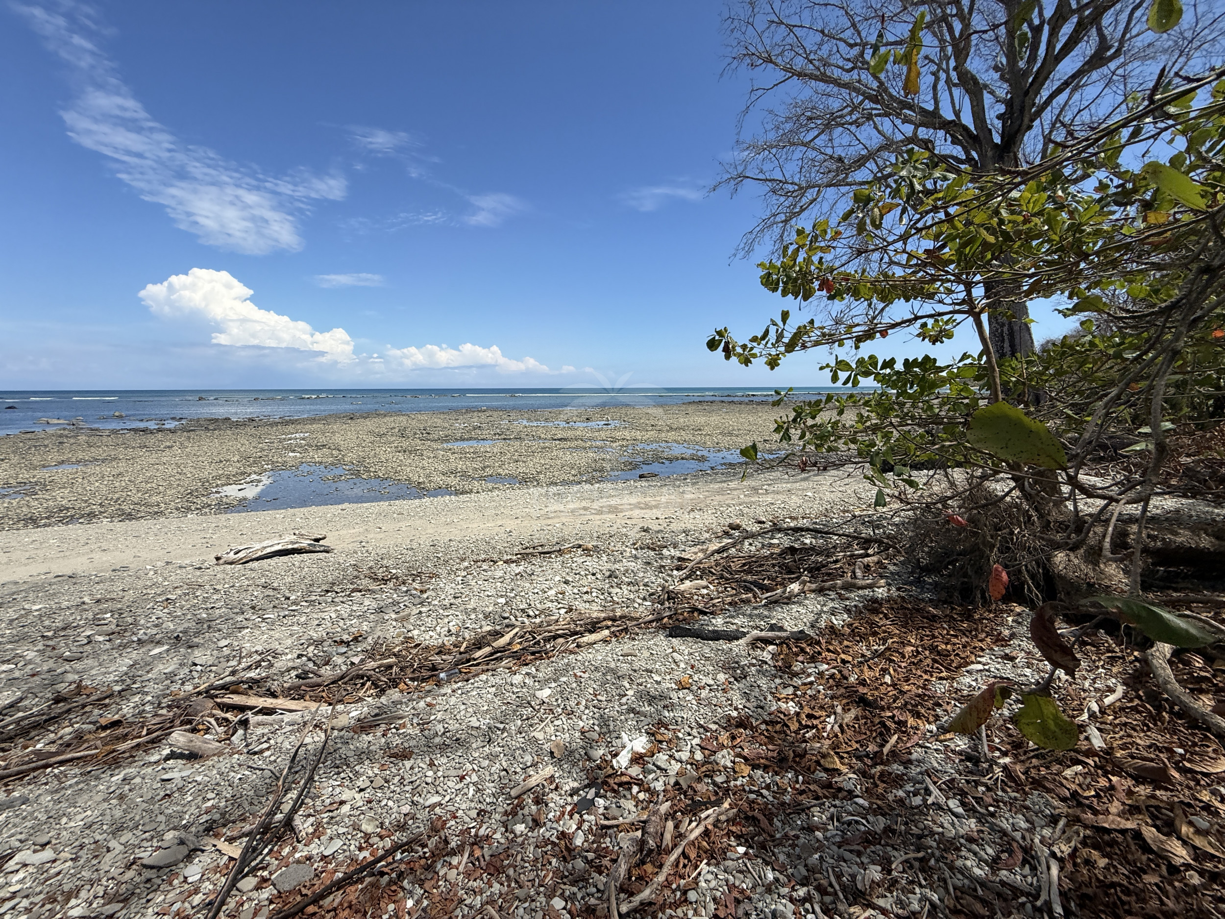 Beachfront Land for Sale, Cabuya | Concessioned Lot Nicoya Peninsula
