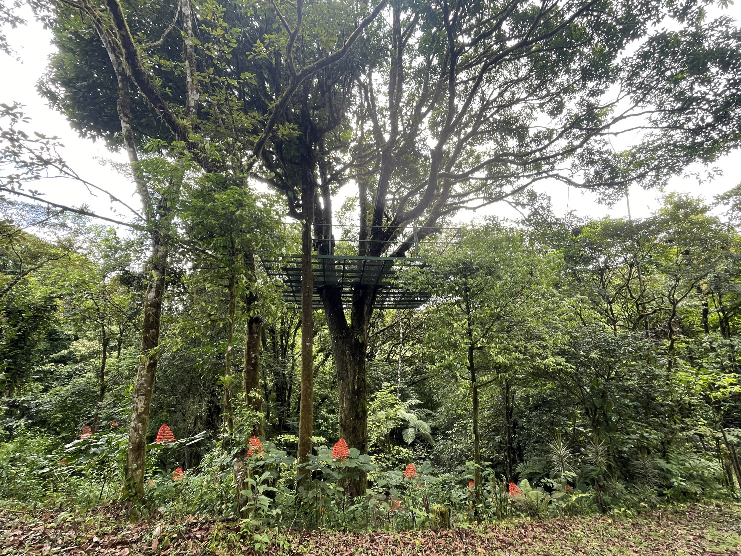 65-Acre Lakeview Property in Nuevo Arenal, Ideal for Family Residential Development