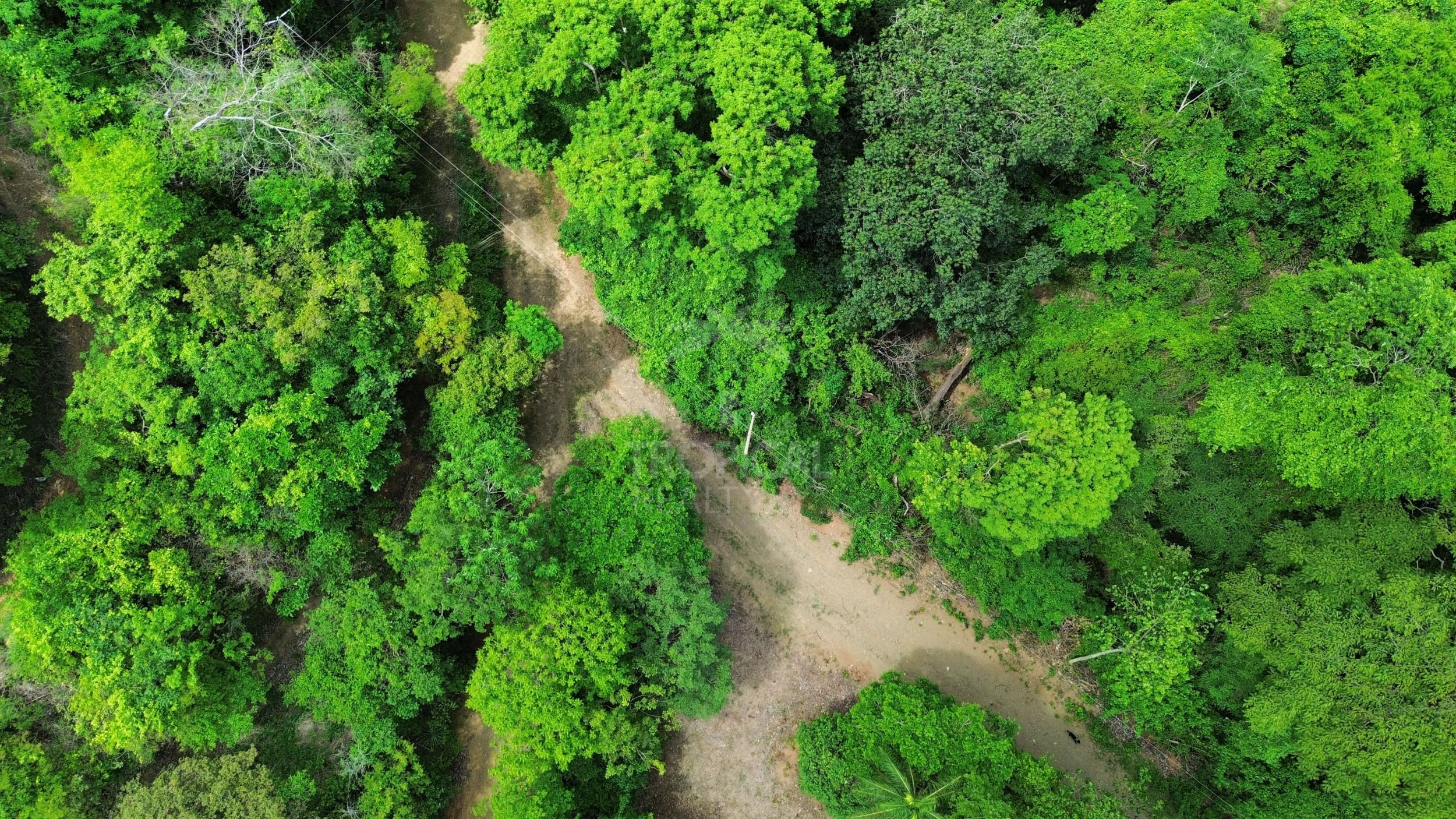 Exclusive 5,376 m² Macro-Lot: Your Private Nature Sanctuary in Lomas Del Mar, Guanacaste