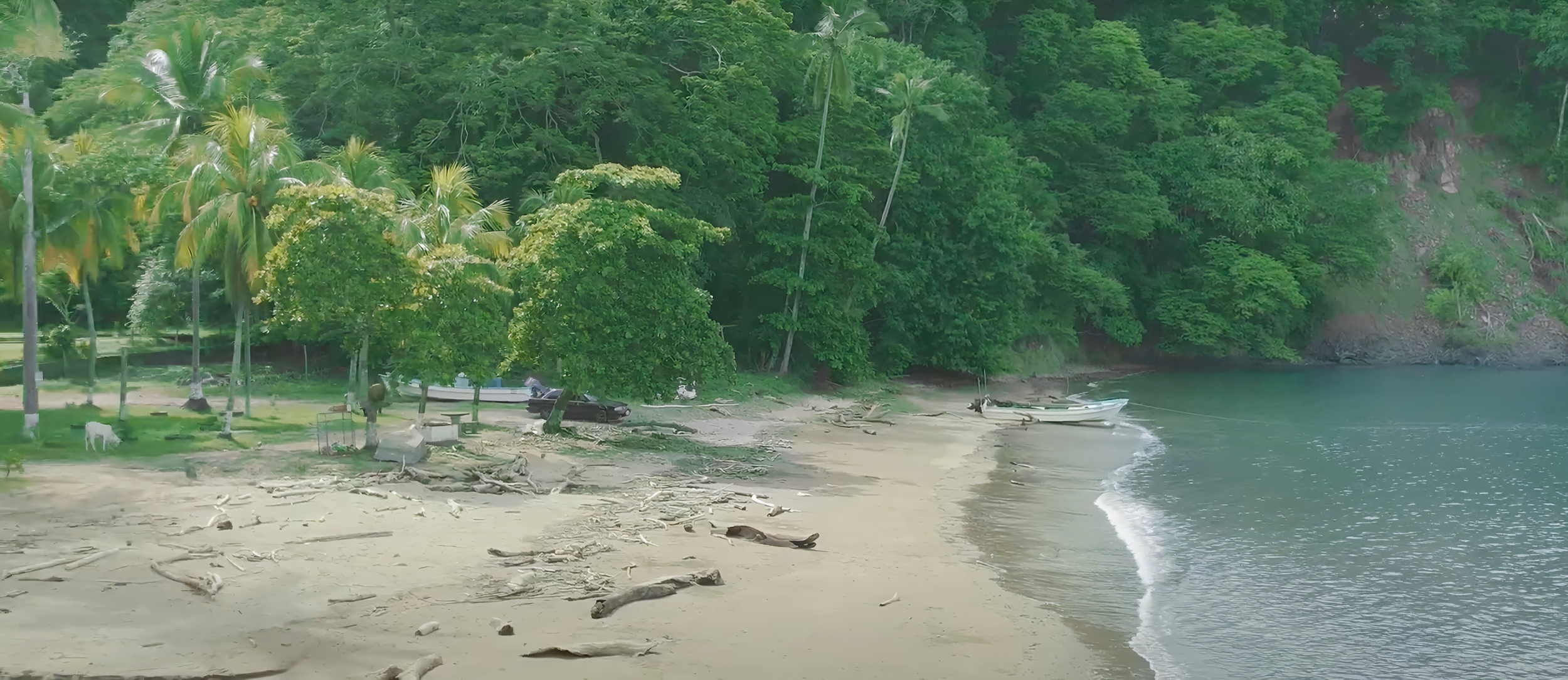 Blue Zone Lots for Sale in Costa Rica – Build Your Dream Beach Home