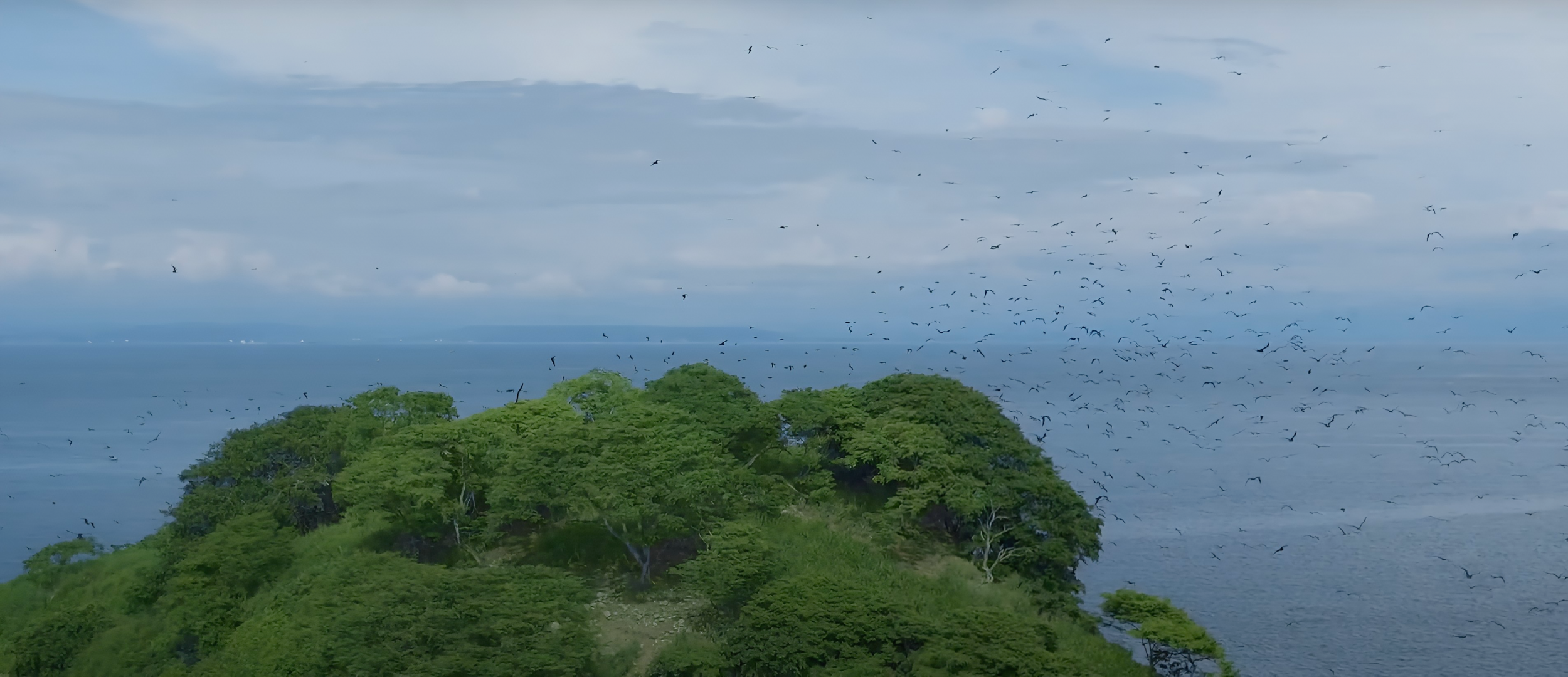 Blue Zone Lots for Sale in Costa Rica – Build Your Dream Beach Home