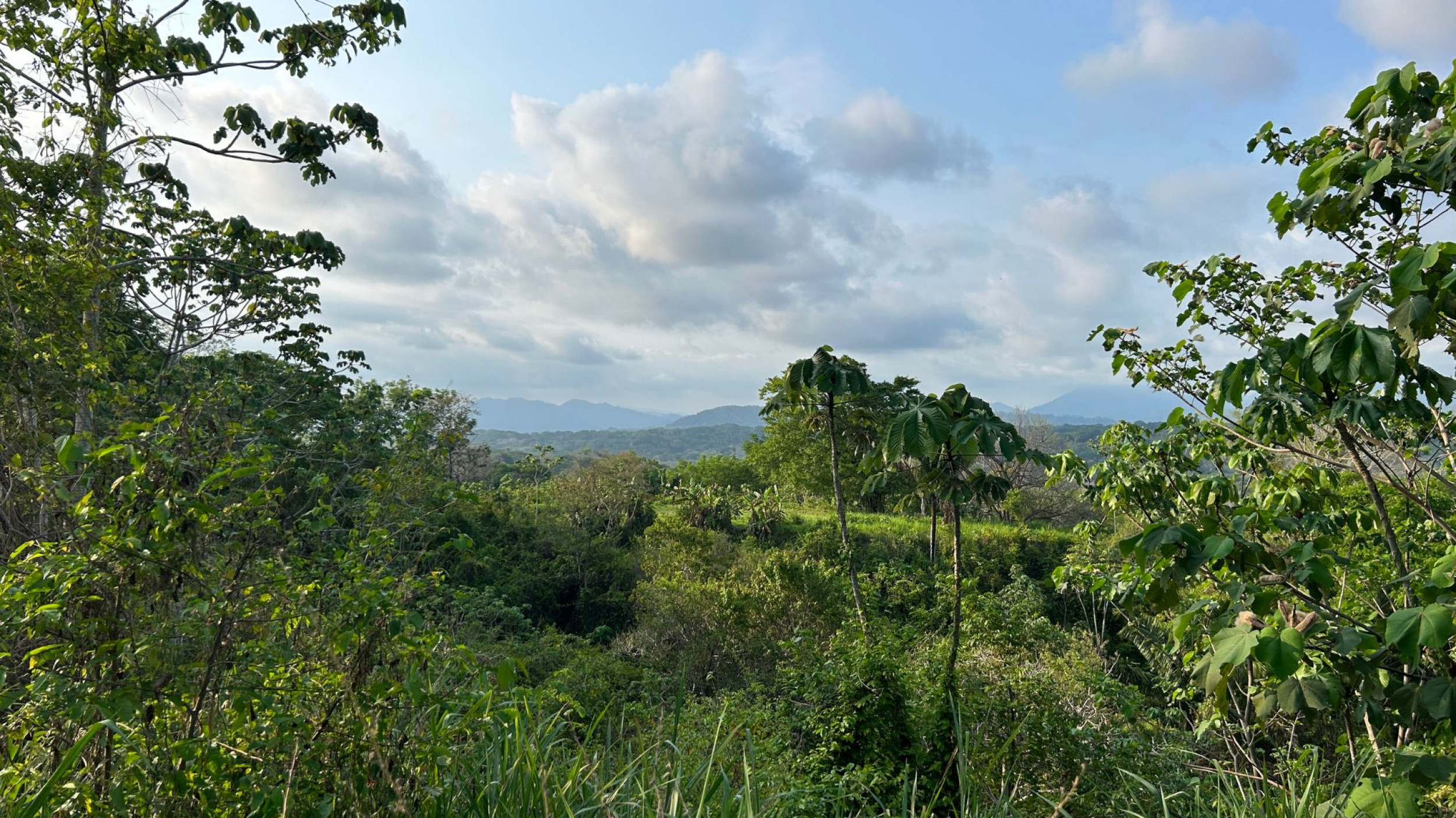 For Sale: Beautiful Lot in Santiago, 5 Minutes from Playa Hermosa – $175,000