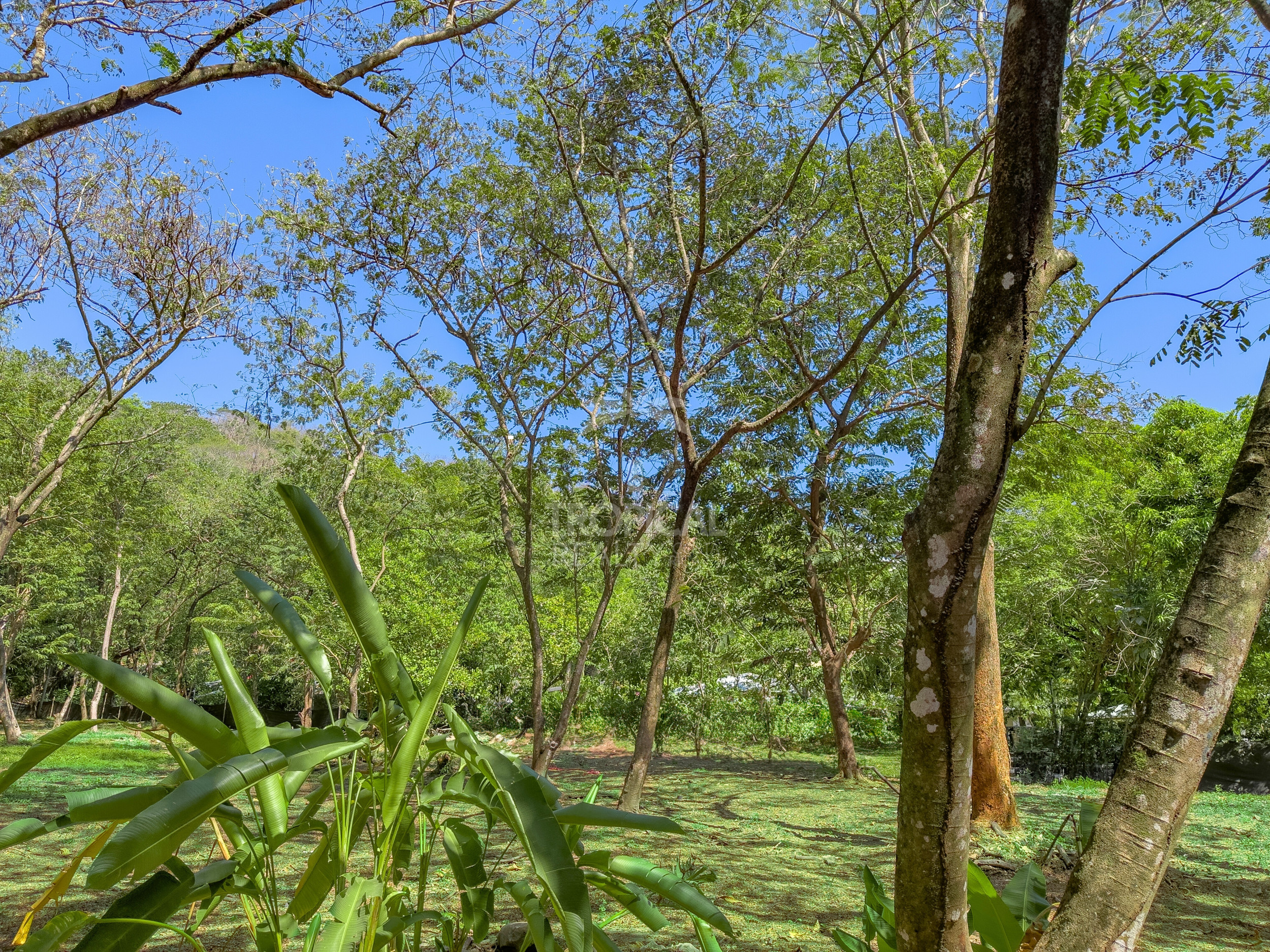 Santa Teresa Investment Opportunity: Lots for Commercial and Residencial Use