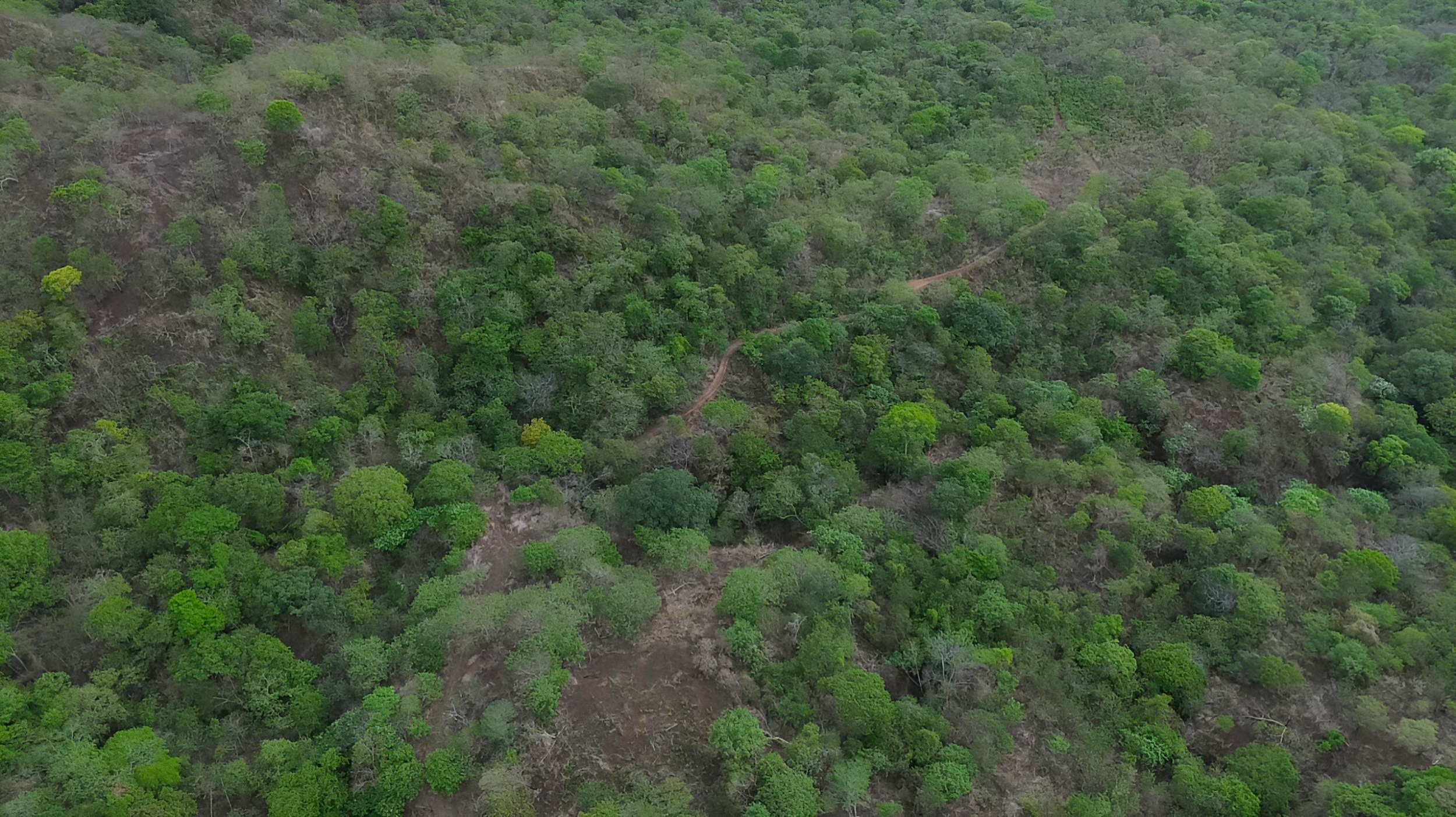 939 Acres Between Playa Flamingo & Tamarindo | Ocean Views | 7 Registered Water Wells