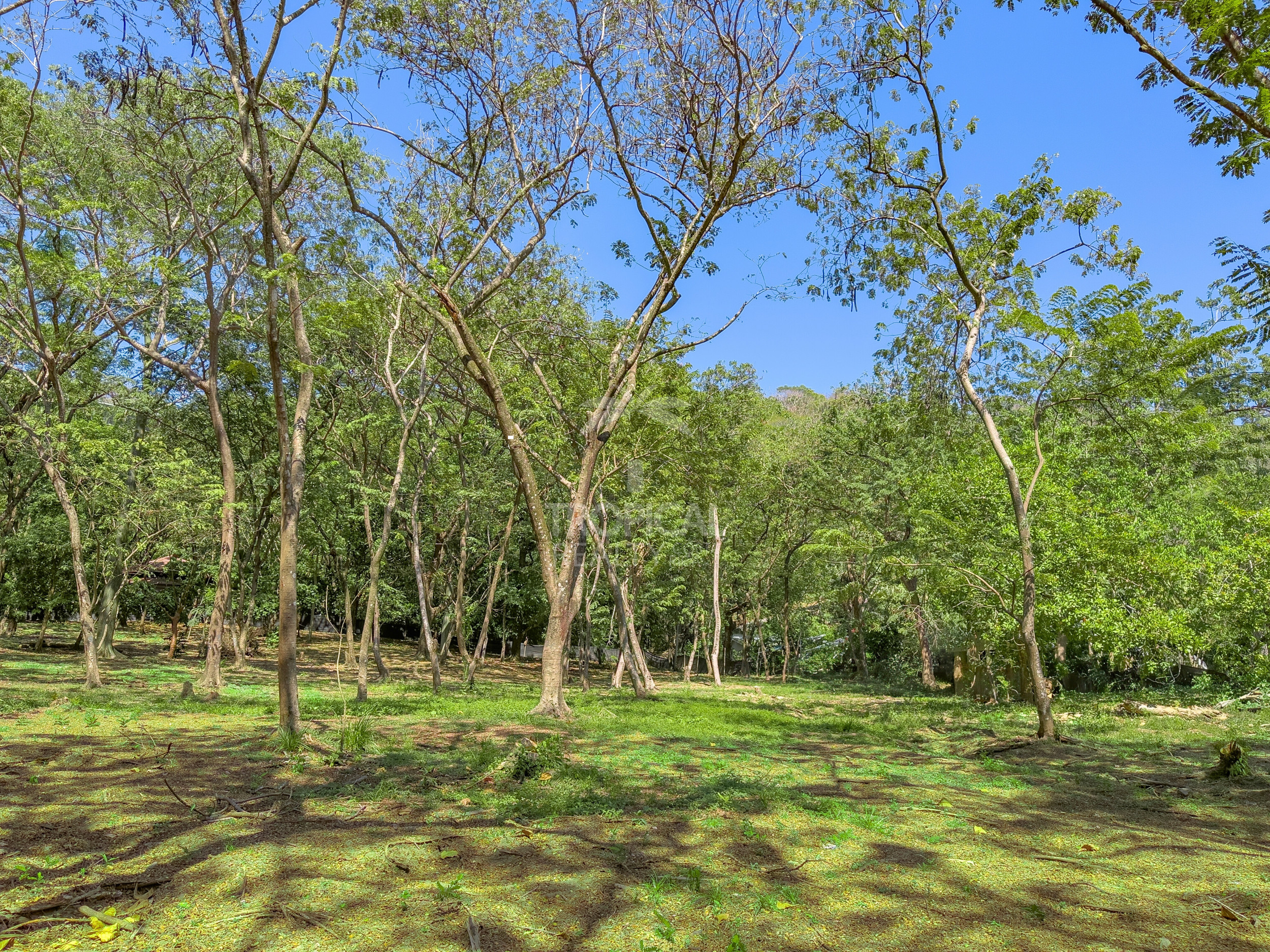 Santa Teresa Investment Opportunity: Lots for Commercial and Residencial Use