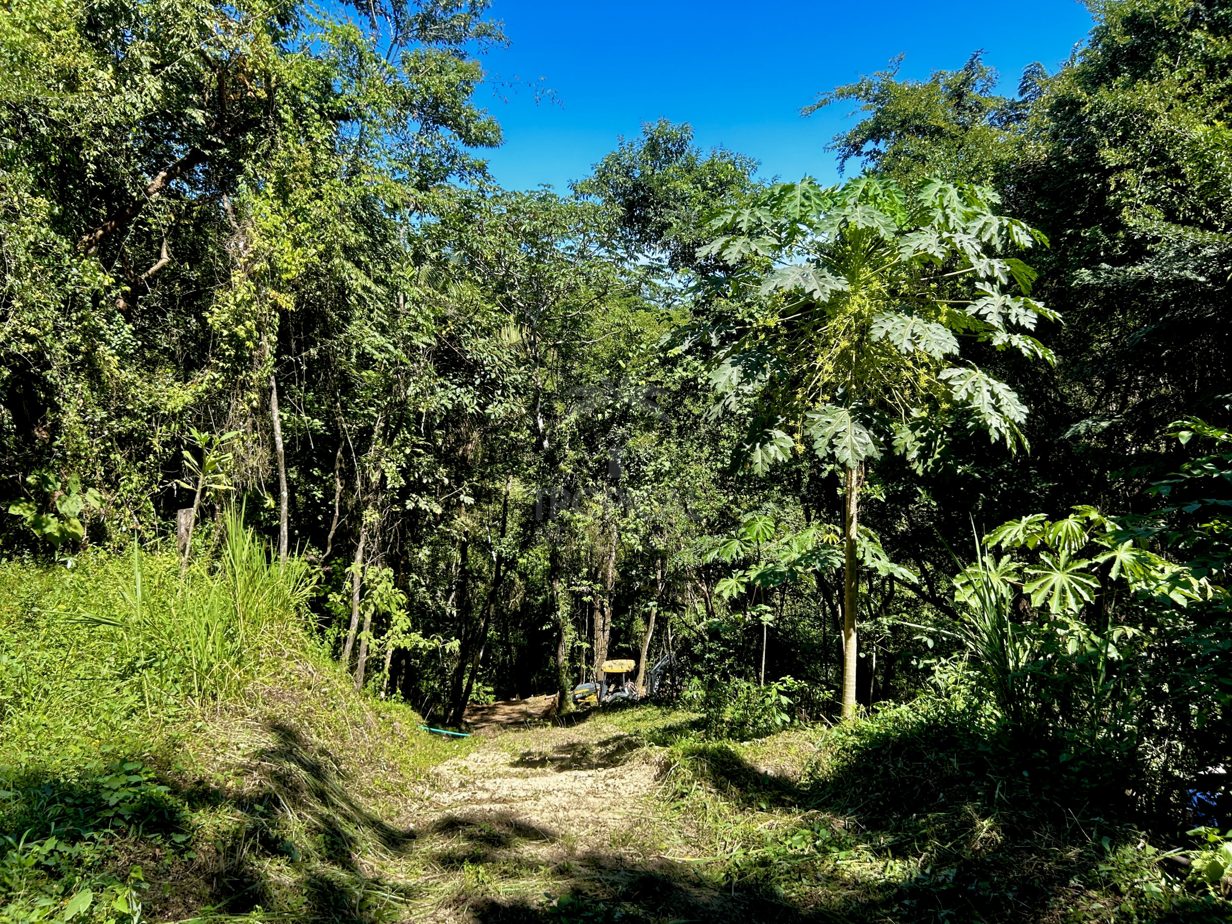 Lot for Sale – Mountain Paradise Near Playa Hermosa, Santa Teresa