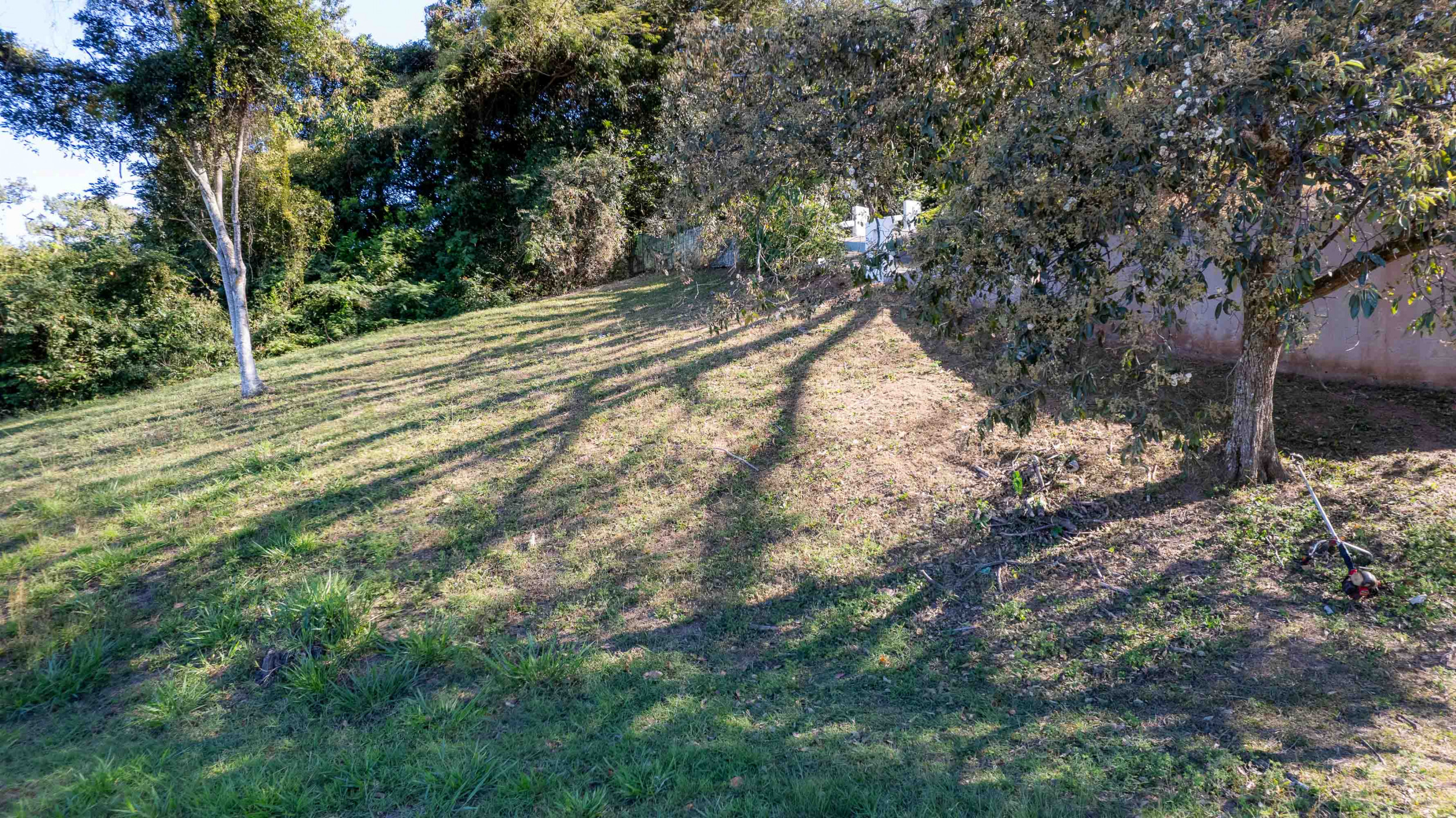 Stunning Lot with Views in Cerro Colón, Ciudad Colón