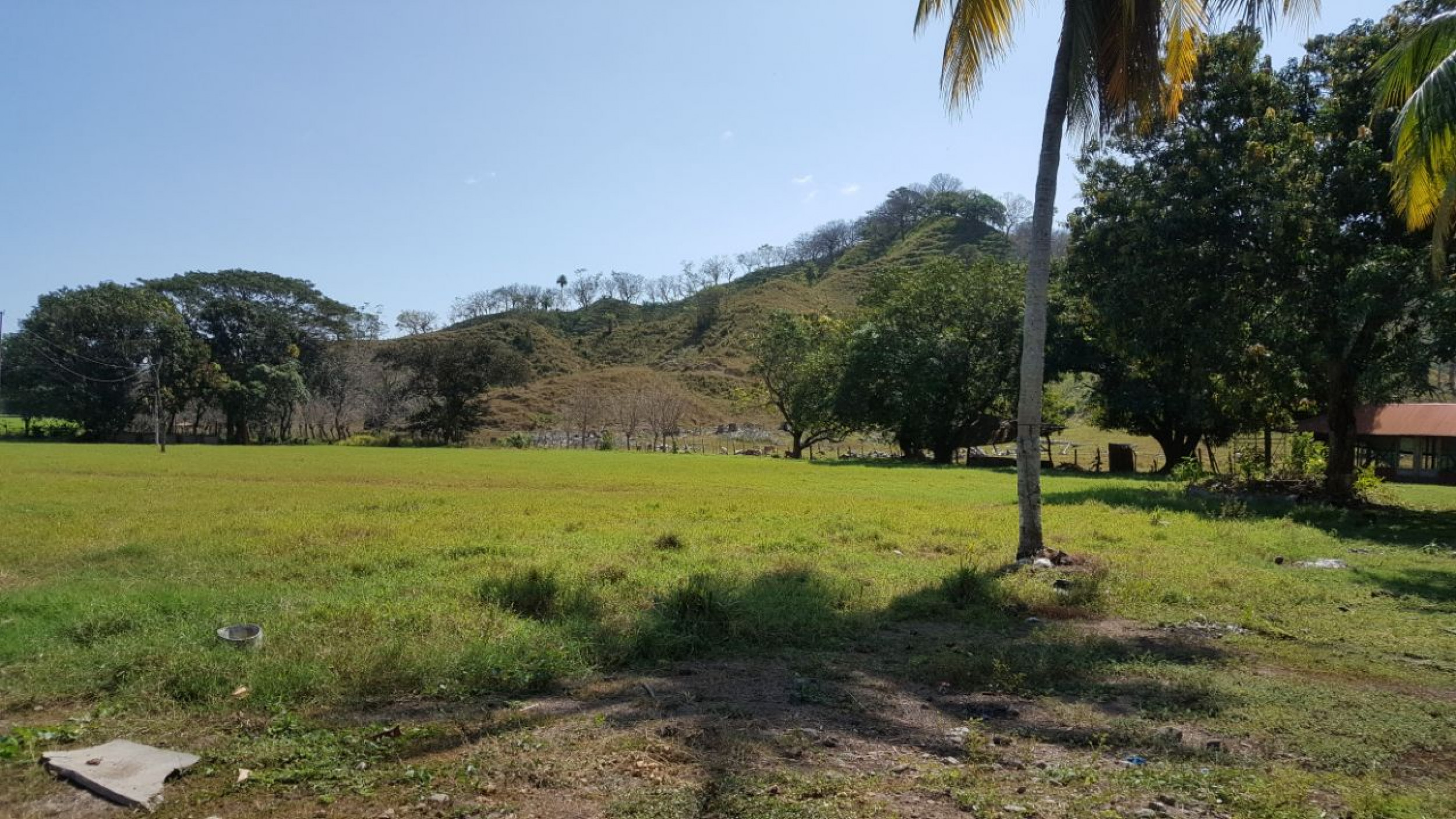 864 Acres in the Gulf of Nicoya Blue Zone – A Sanctuary of Nature and Tranquility