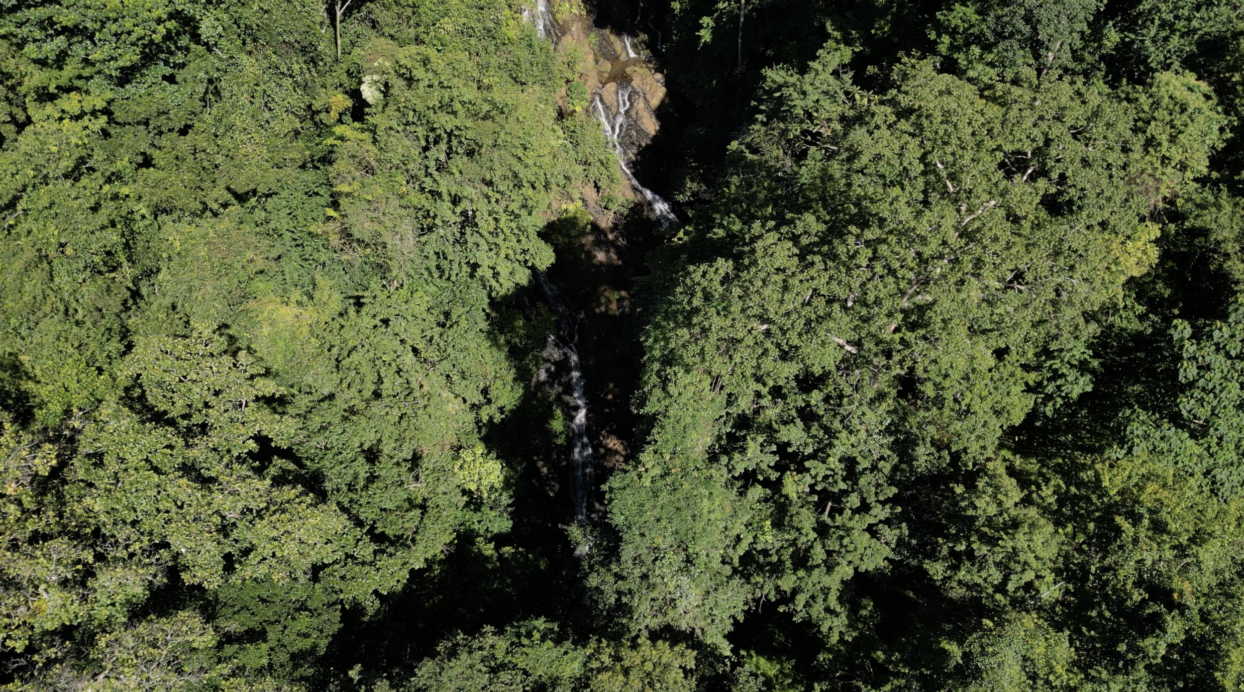 Spectacular Farm for Sale in Cobano, Puntarenas: Ocean Views to Santa Teresa, Lush Nature, and Included Waterfall