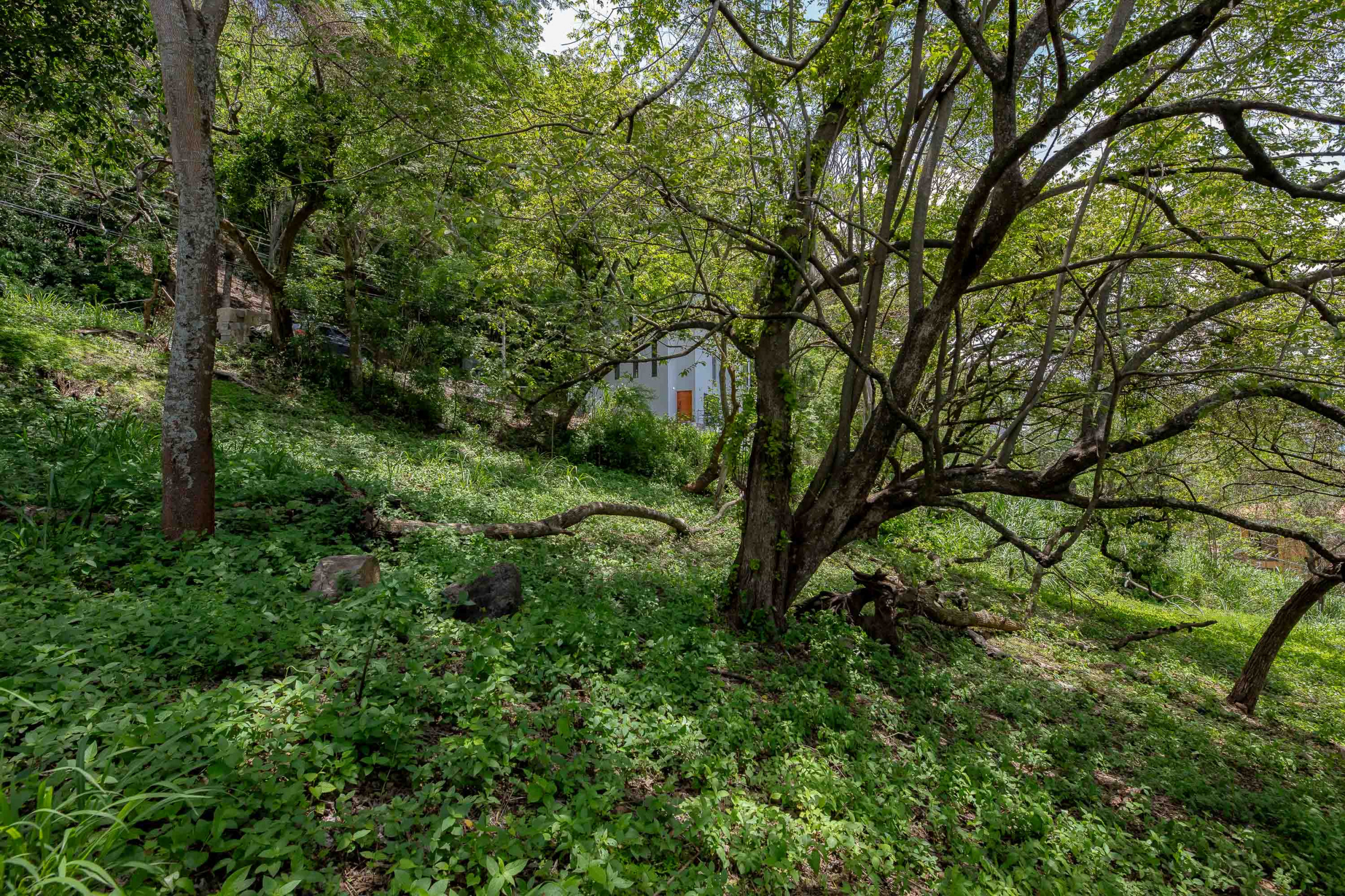 Residential Private Lush Lot in Rio Oro , Santa Ana