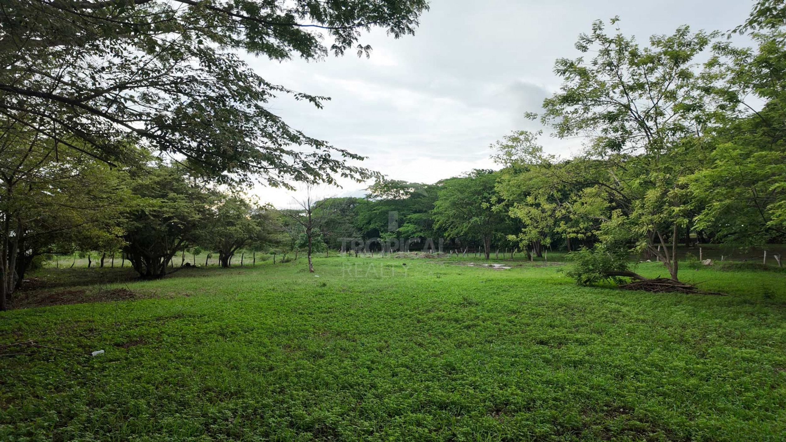 Prime Development Lots in Villarreal – Commercial & Residential Investment Opportunity