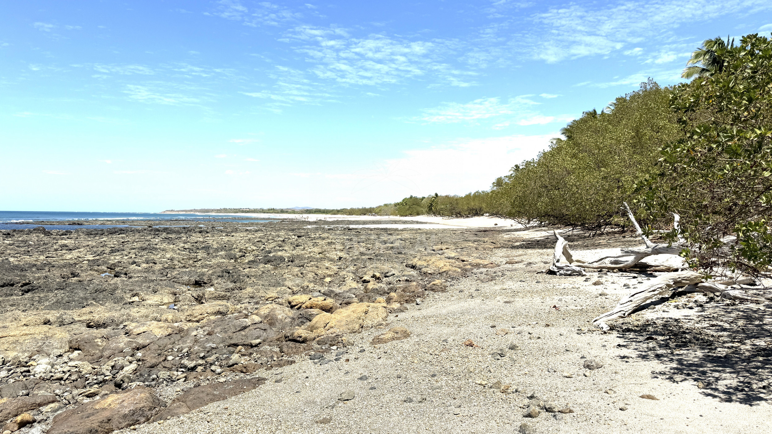 Unique Investment Opportunity – Beachfront Lot for Sale in Guanacaste