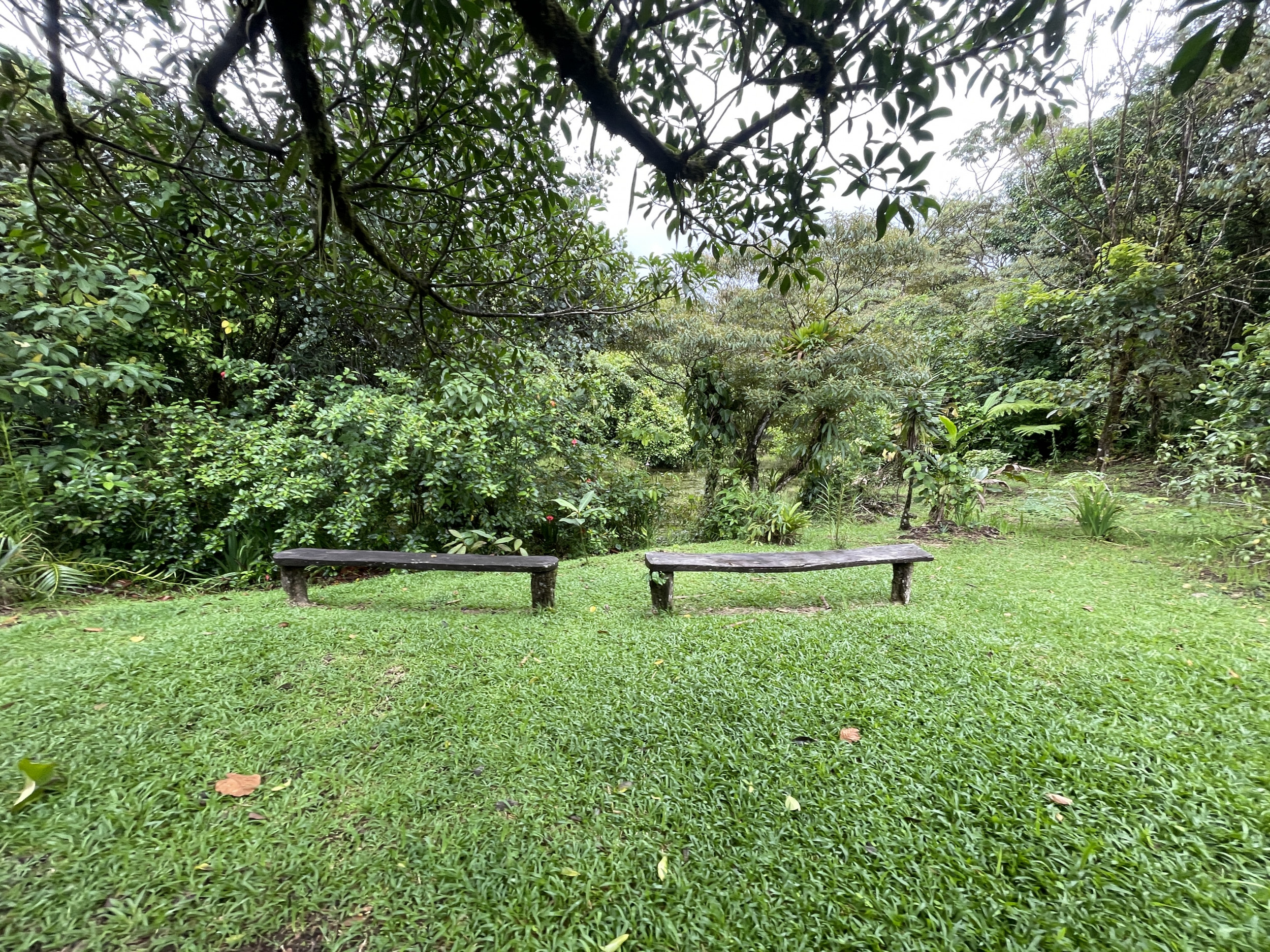 65-Acre Lakeview Property in Nuevo Arenal, Ideal for Family Residential Development