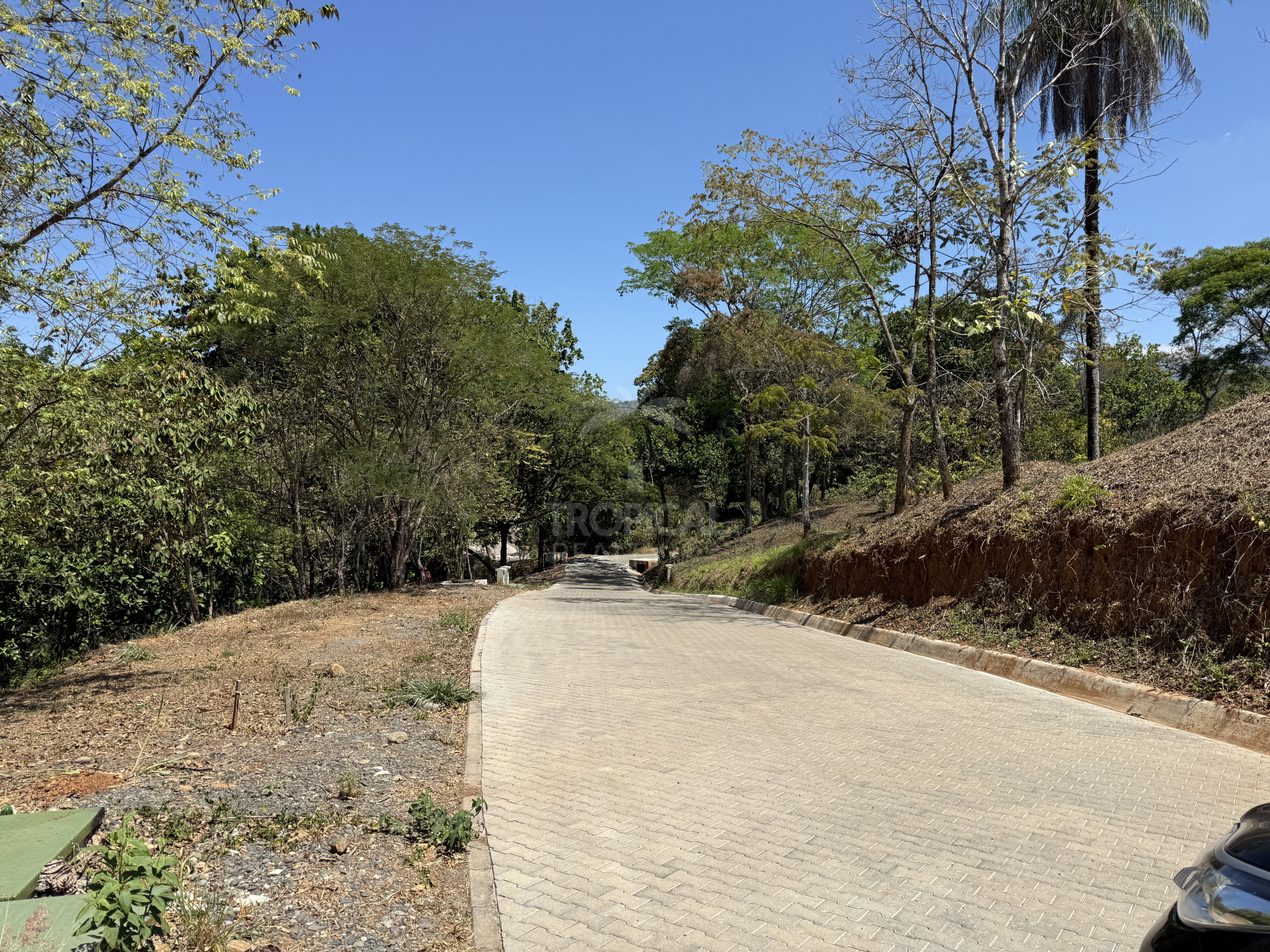 Corner Lot for Sale in Ecovilla San Mateo – Nature, Community & Conscious Living