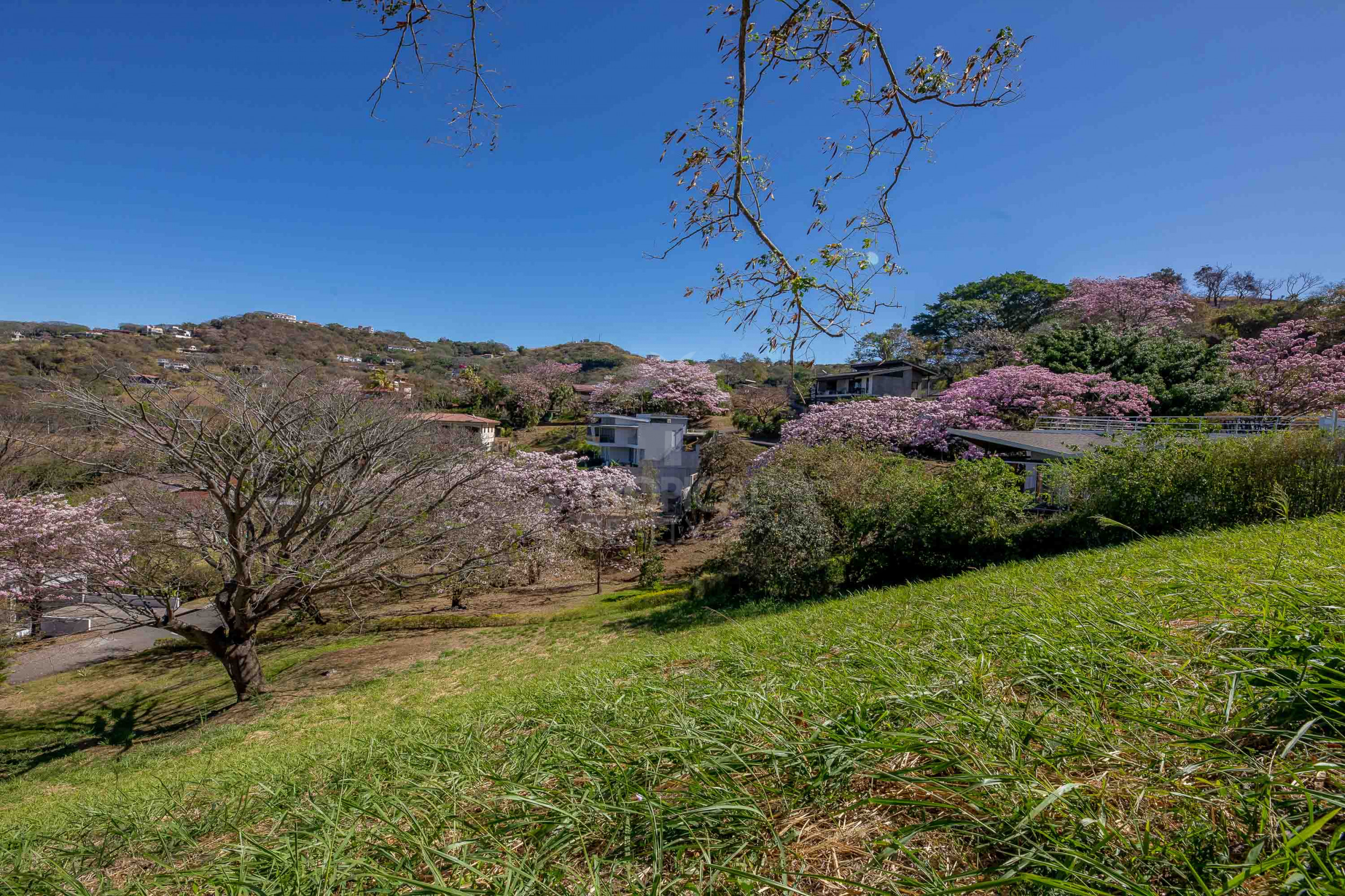 Premium Lot for Sale in Valle Escondido, Santa Ana – 1,071 m² with Sunset Views