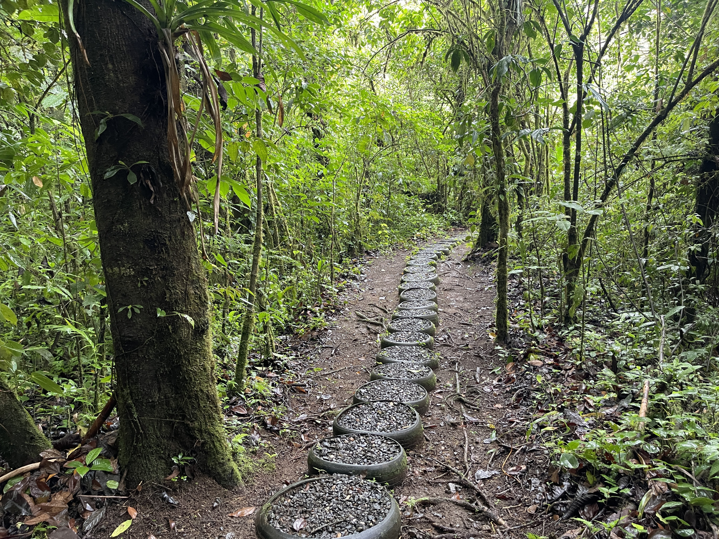 65-Acre Lakeview Property in Nuevo Arenal, Ideal for Family Residential Development