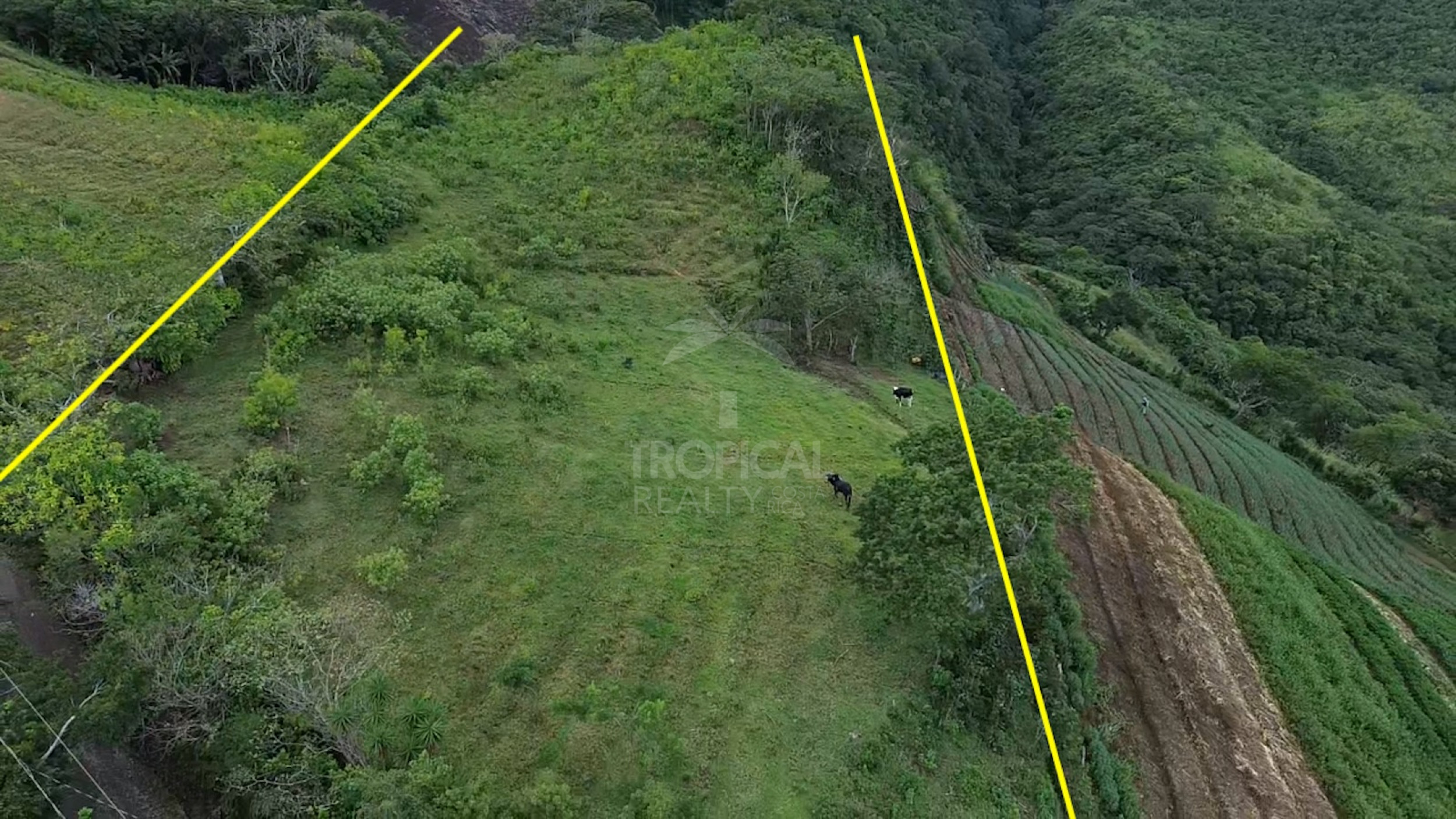 Lote de 11,000 m² (2.72 Acres) en Venta en Salitral de Santa Ana, Carretera a Escazú