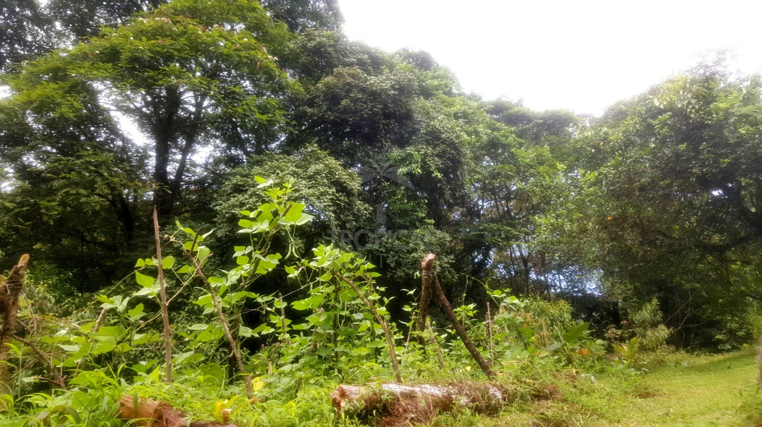For Sale: Nature Lover’s Paradise in Sarapiquí – 24.7 Acres with Two Rivers | Bijagual, Heredia