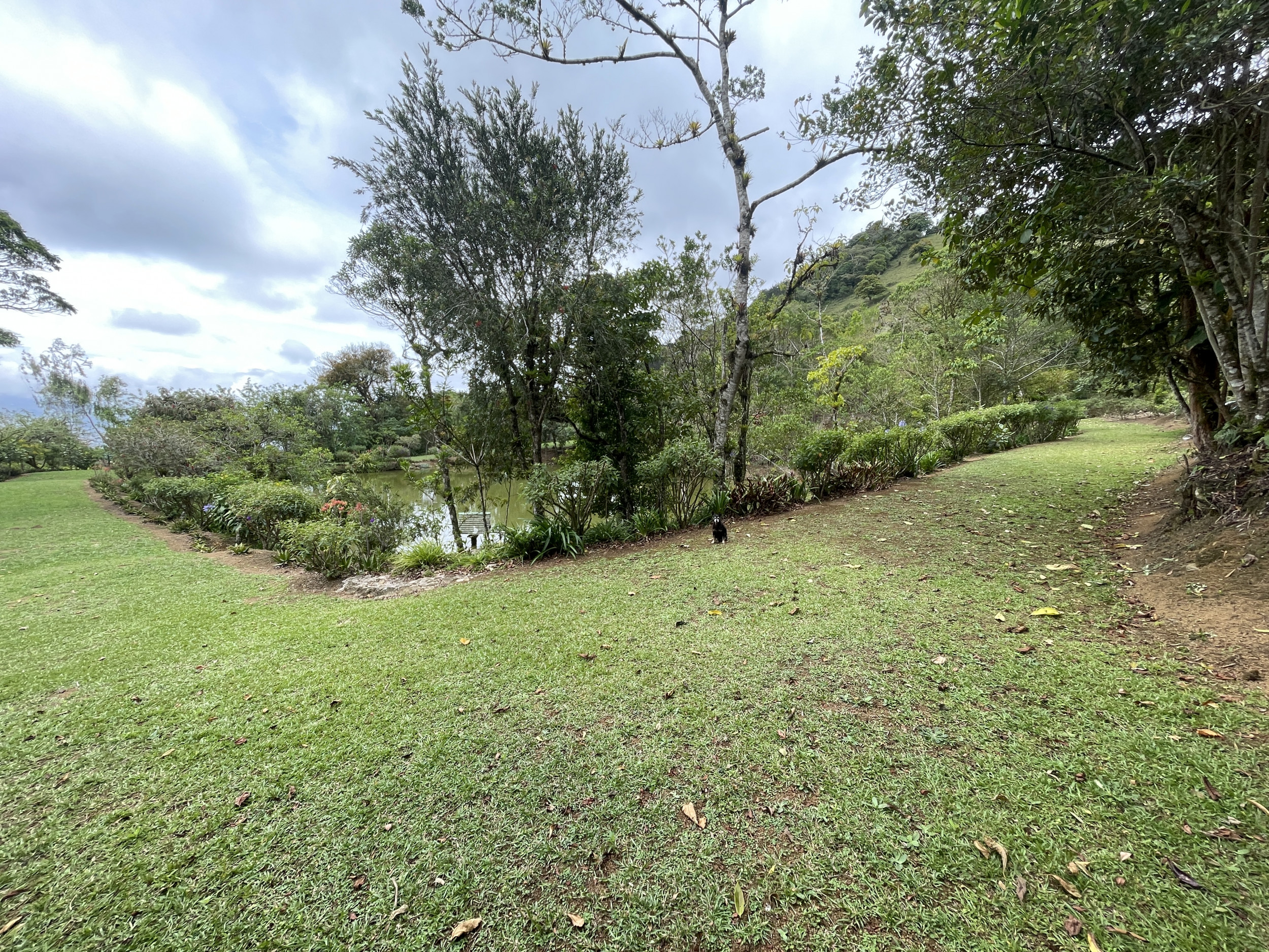 Charming Coffee Retreat Home with Stunning Views and Gourmet Coffee Plantations