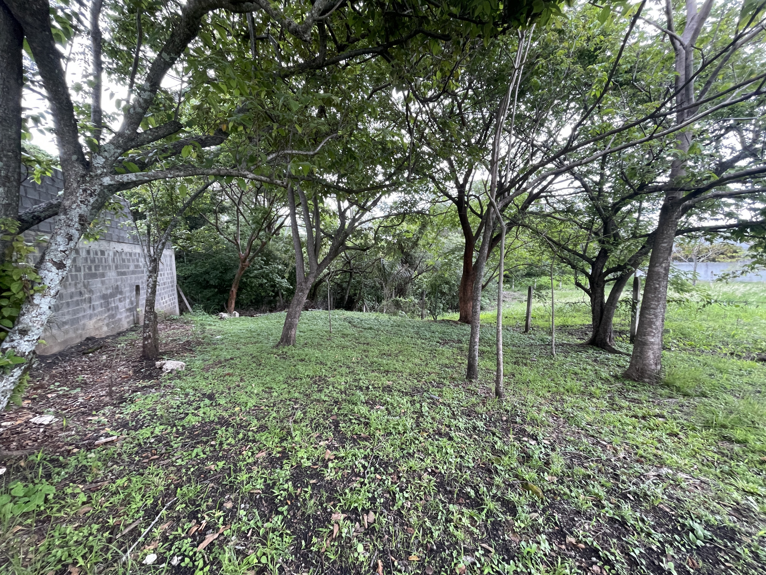 Prime Residential Opportunity: Exclusive 650 m² Land for Sale in Santa Ana