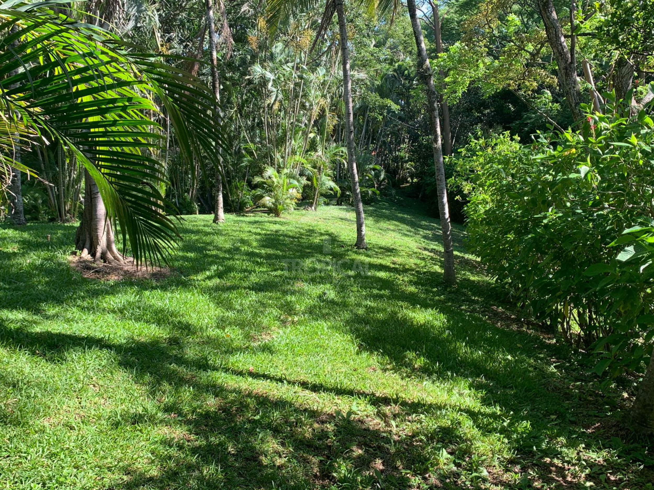 Farm for Sale in Turrúcares – Riverfront with Pools & Ecotourism Potential