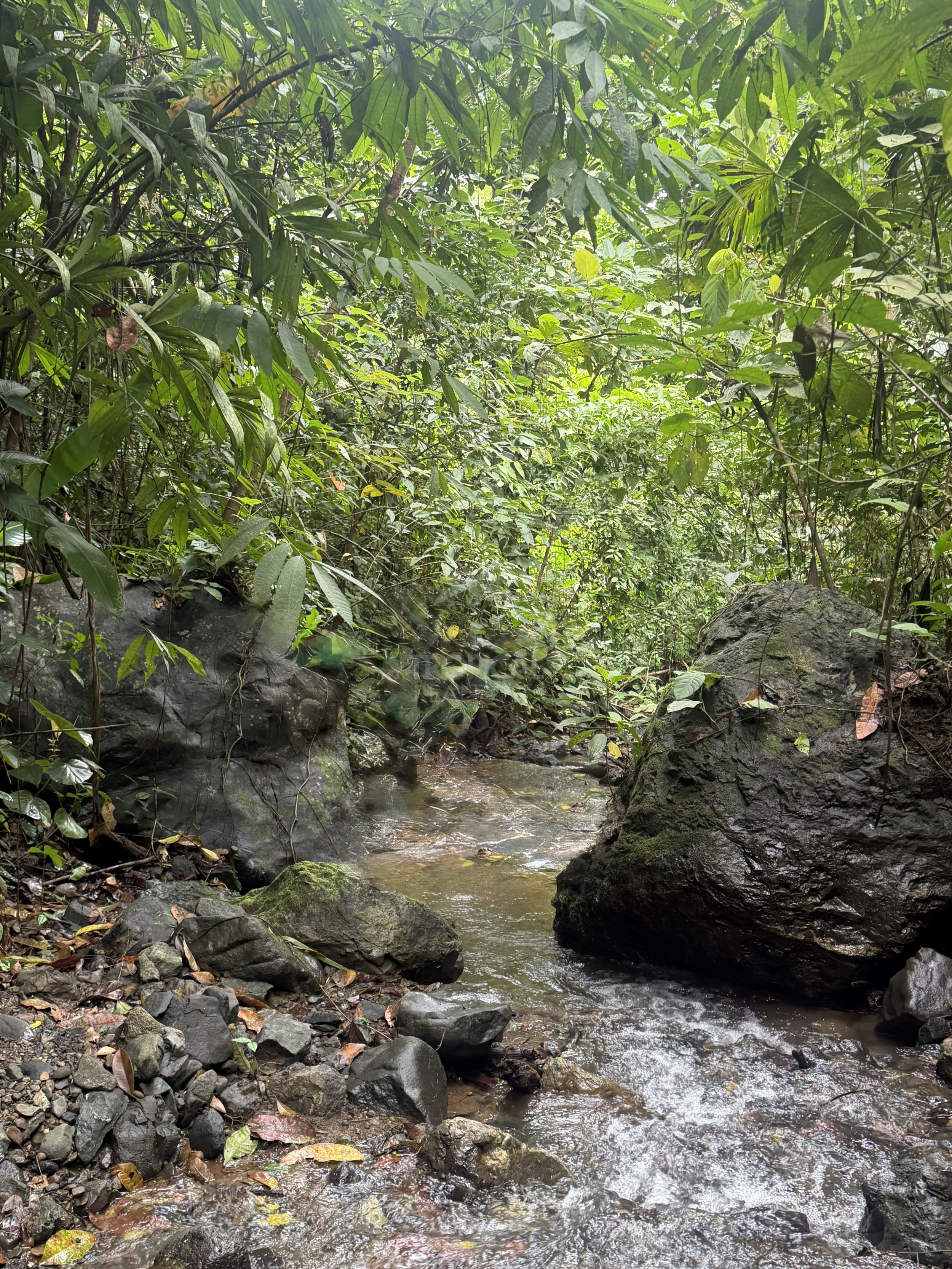 210-Hectare Farm for Sale in Tulín, Puriscal | 519 acres