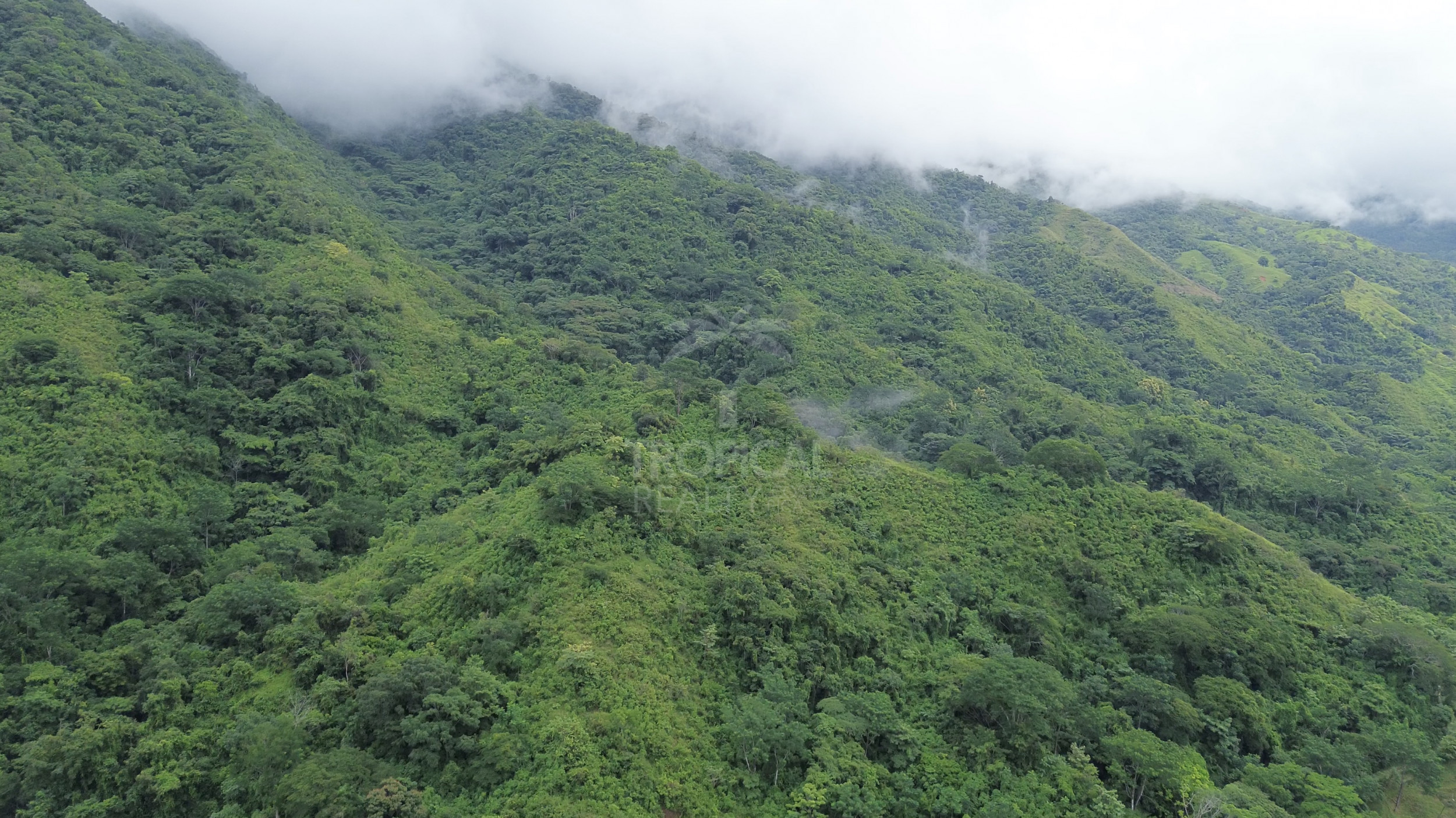 210-Hectare Farm for Sale in Tulín, Puriscal | 519 acres