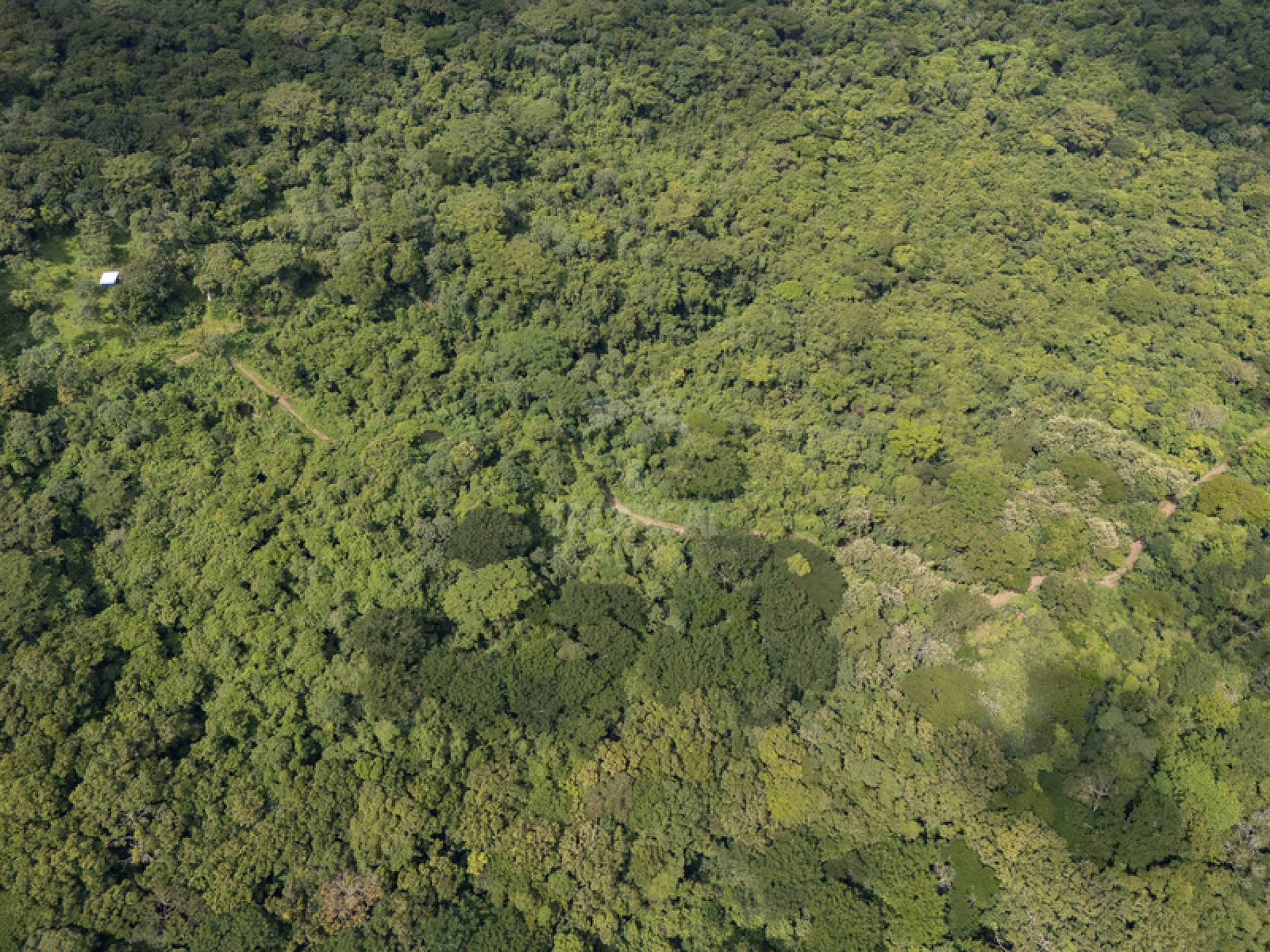 Premium Ocean View Development Estate in Cabuya – 58.6 Hectares with Infrastructure and Exceptional Potential