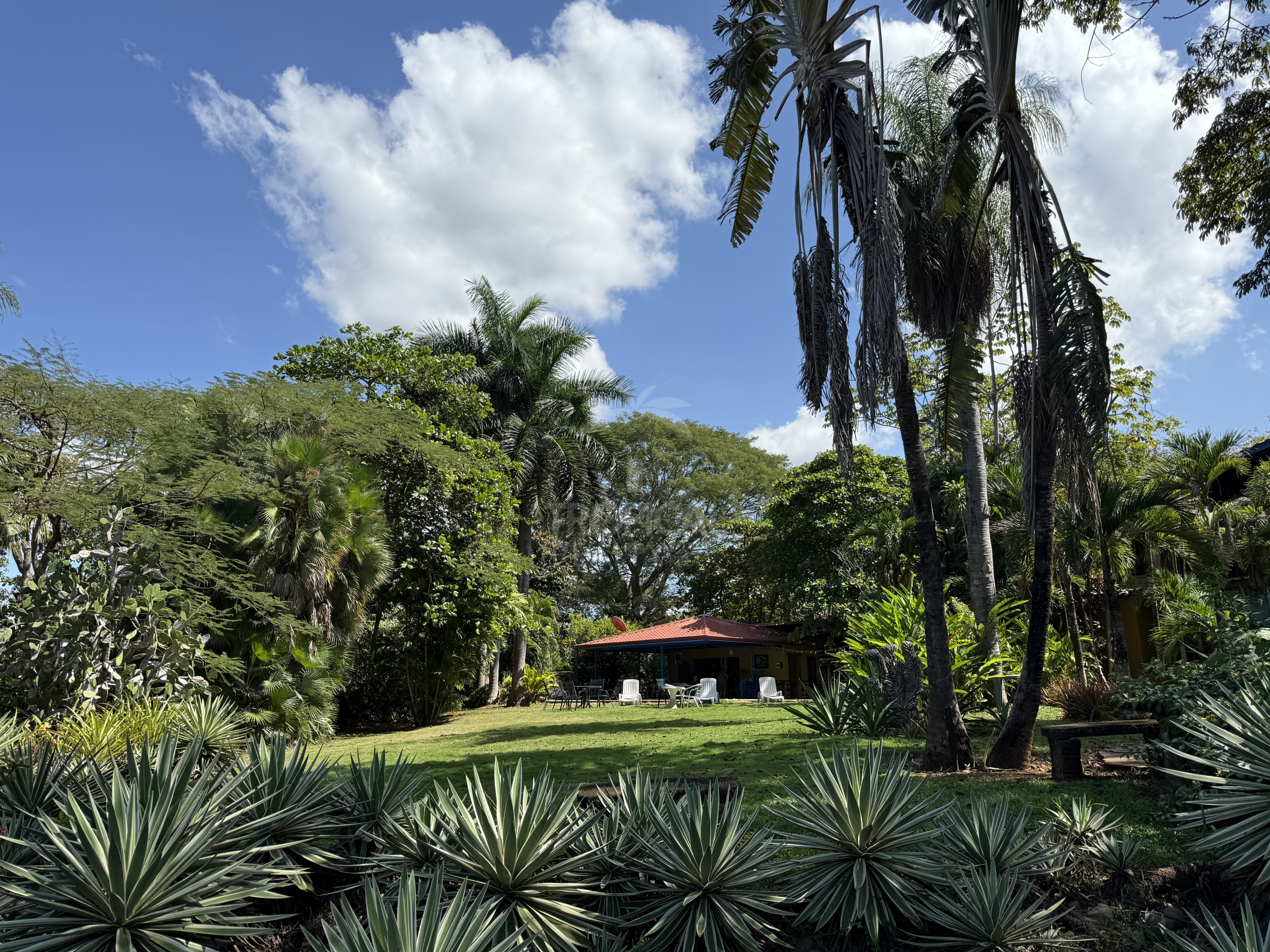 Property for sale with 3 houses and a cabin in Esparza!