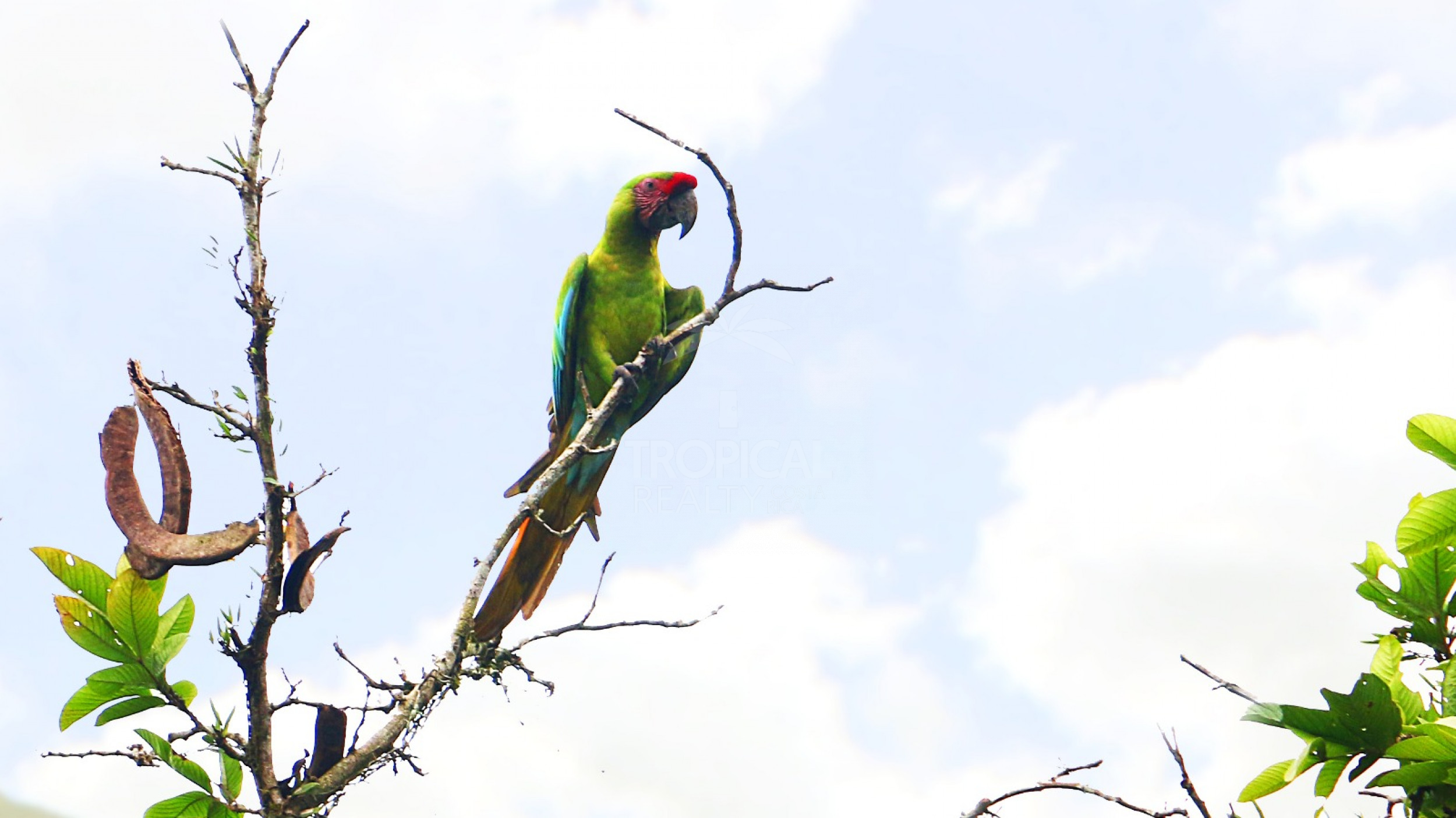 For Sale: Nature Lover’s Paradise in Sarapiquí – 24.7 Acres with Two Rivers | Bijagual, Heredia