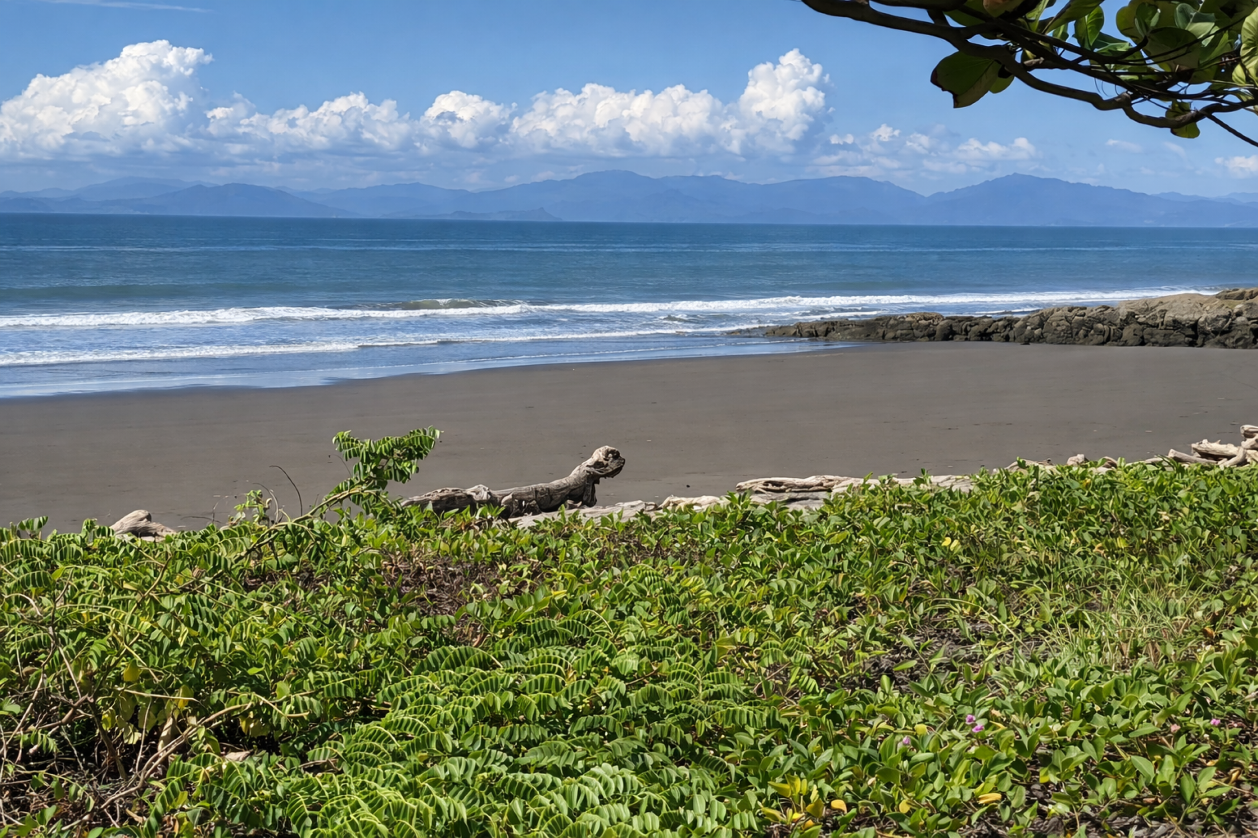 Oceanfront Lot for Sale in Playa Tivives – 551 m² | $135,000 USD