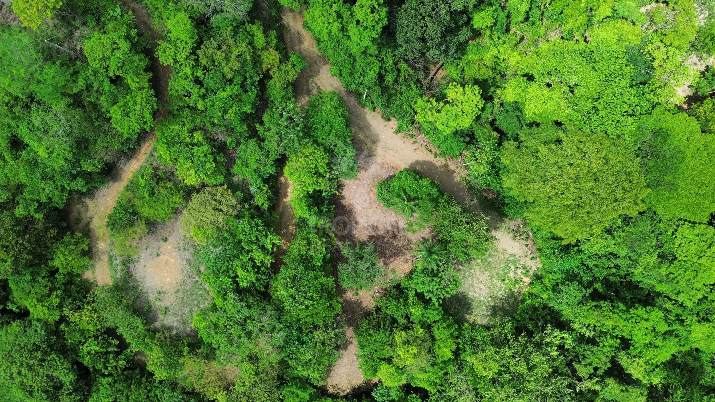 Exclusive 5,376 m² Macro-Lot: Your Private Nature Sanctuary in Lomas Del Mar, Guanacaste