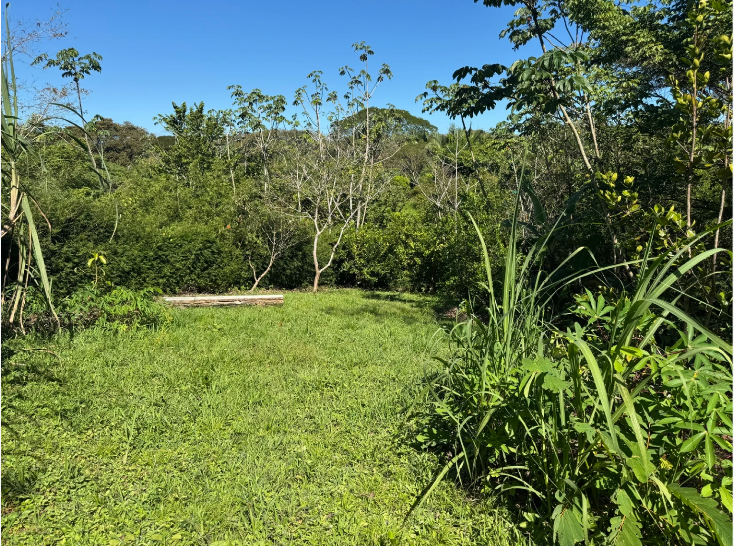 1,527 m² Lot in La Palmita – Nature & Close to Playa Hermosa
