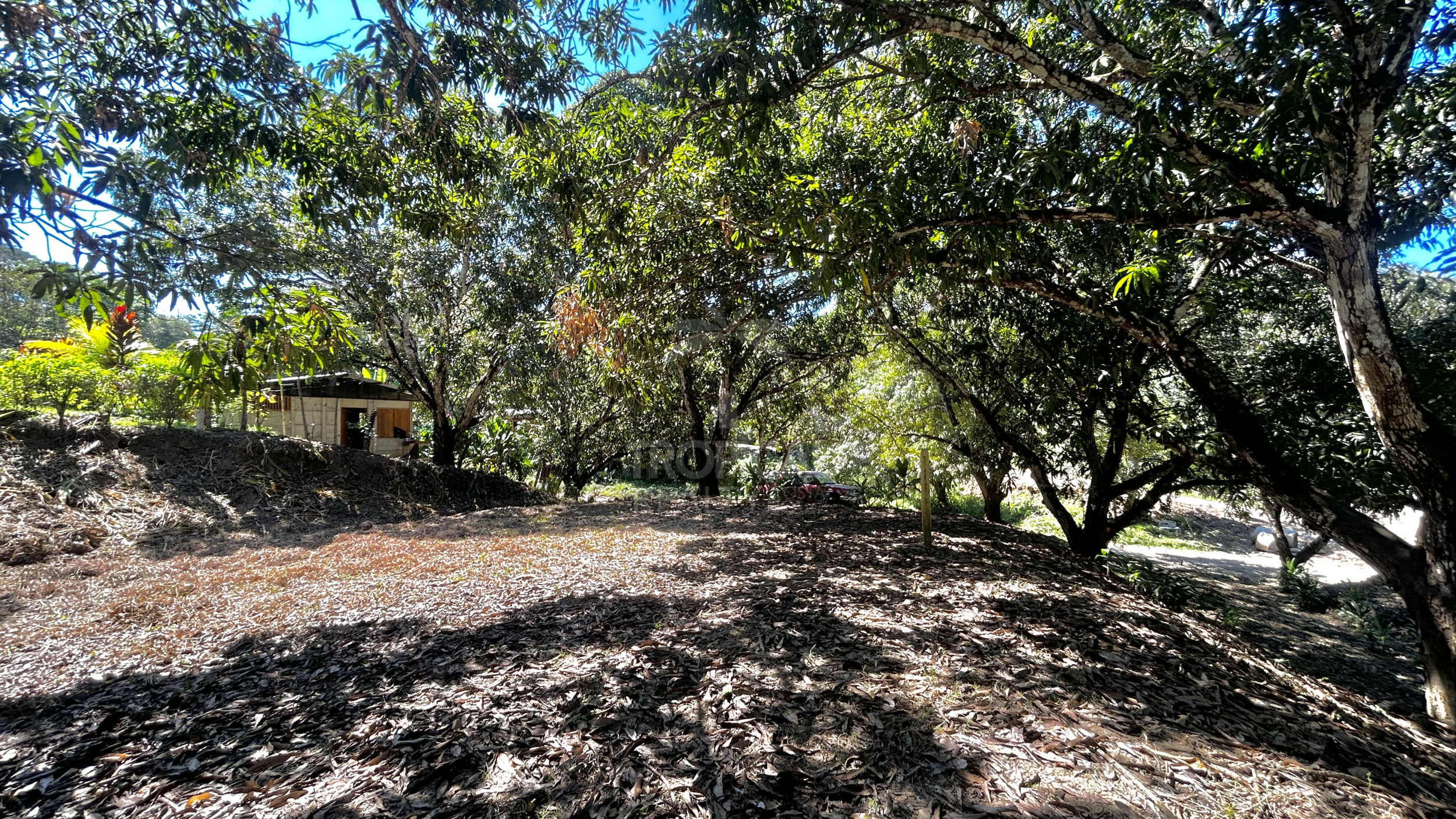 Commercial Mixed-Use Lot for Sale – Prime Location near Manzanillo Beach