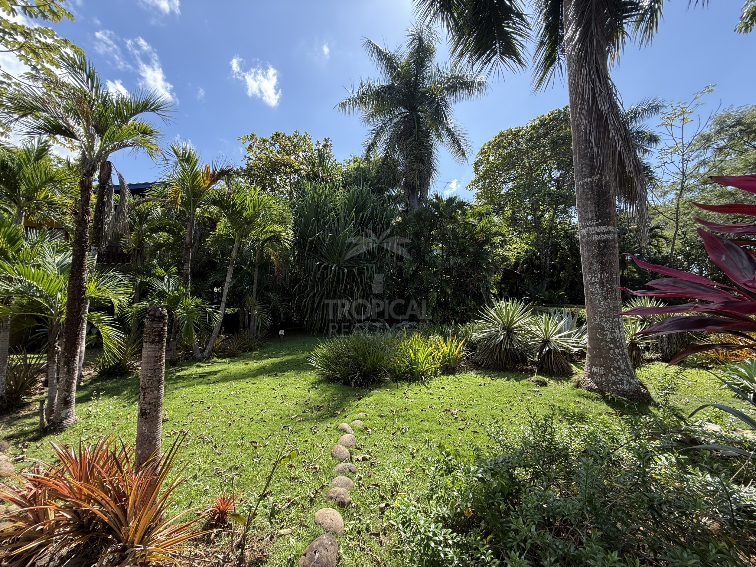 Property for sale with 3 houses and a cabin in Esparza!