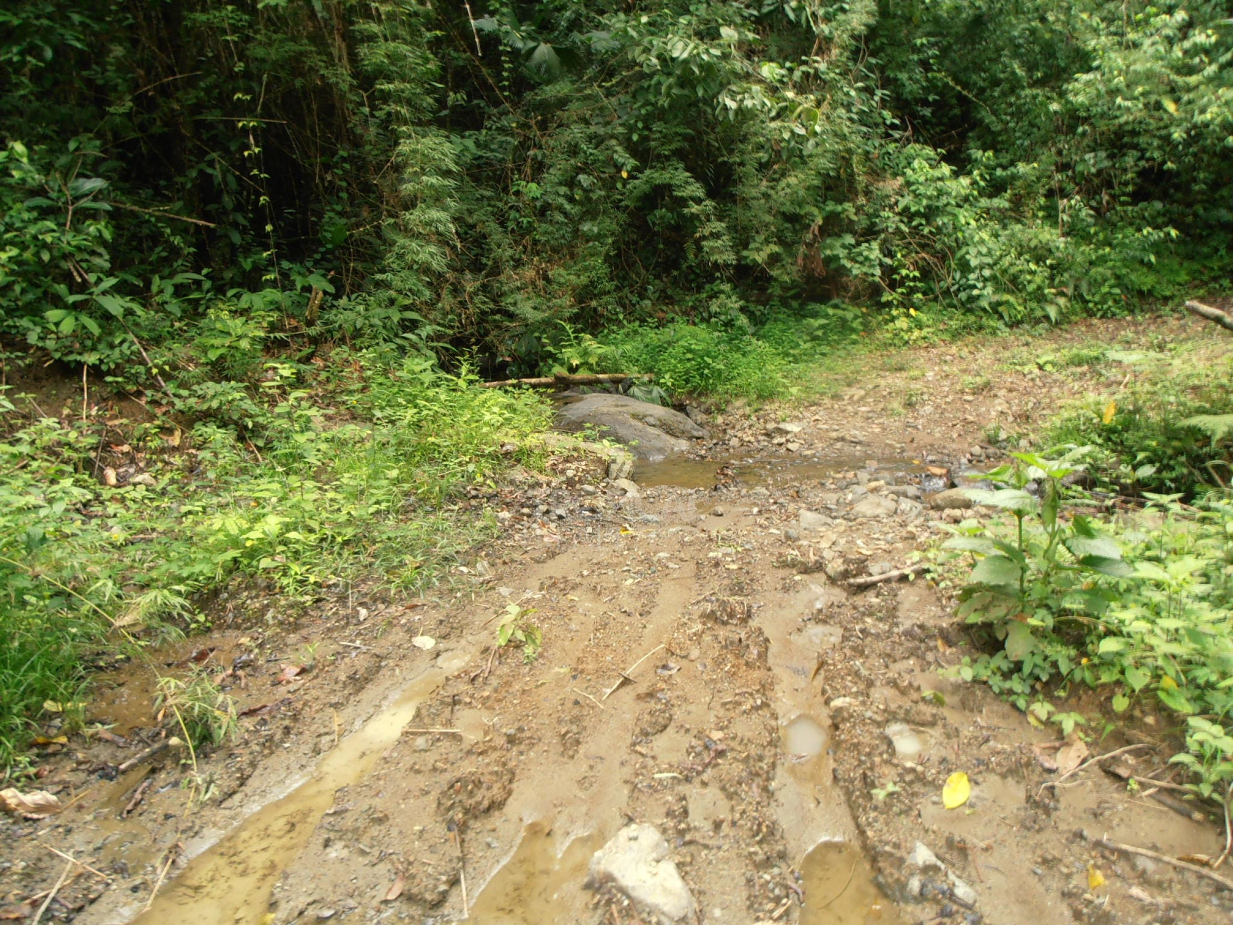 210-Hectare Farm for Sale in Tulín, Puriscal | 519 acres