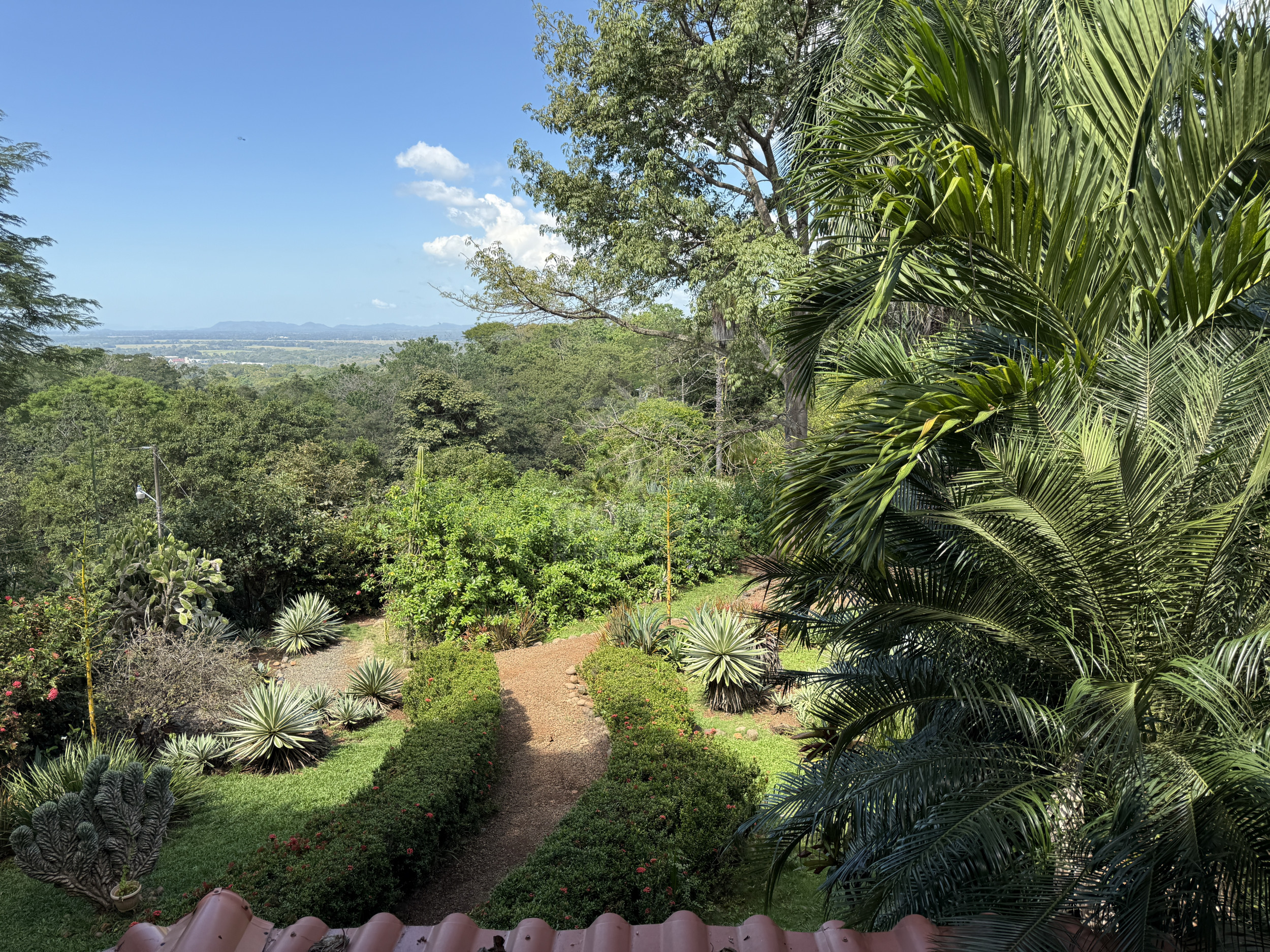 Property for sale with 3 houses and a cabin in Esparza!