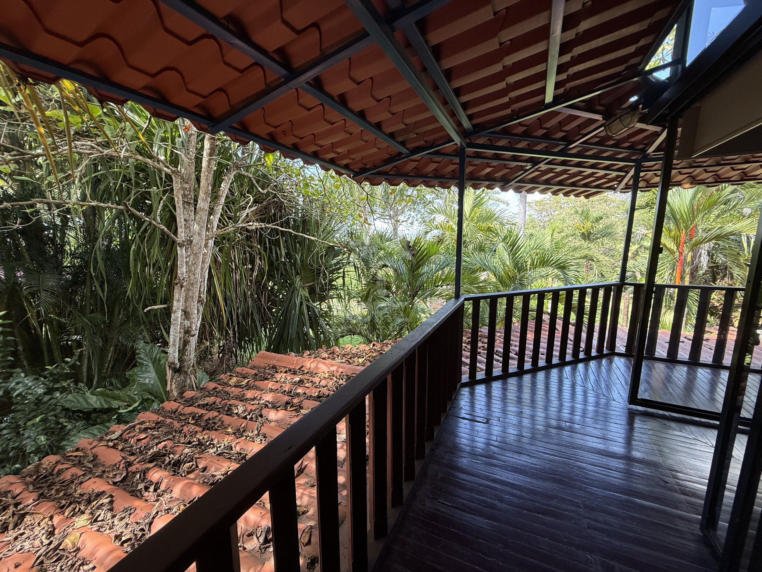 Property for sale with 3 houses and a cabin in Esparza!